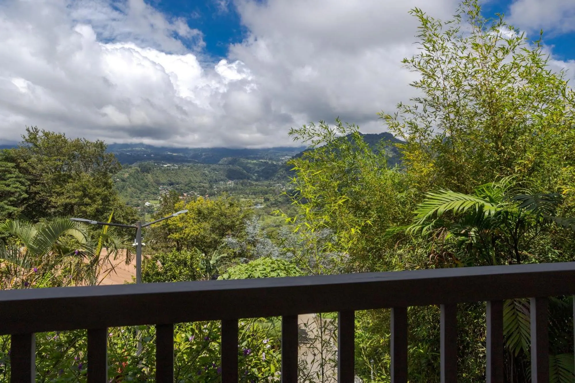 Mountain view in Coffee Estate Inn