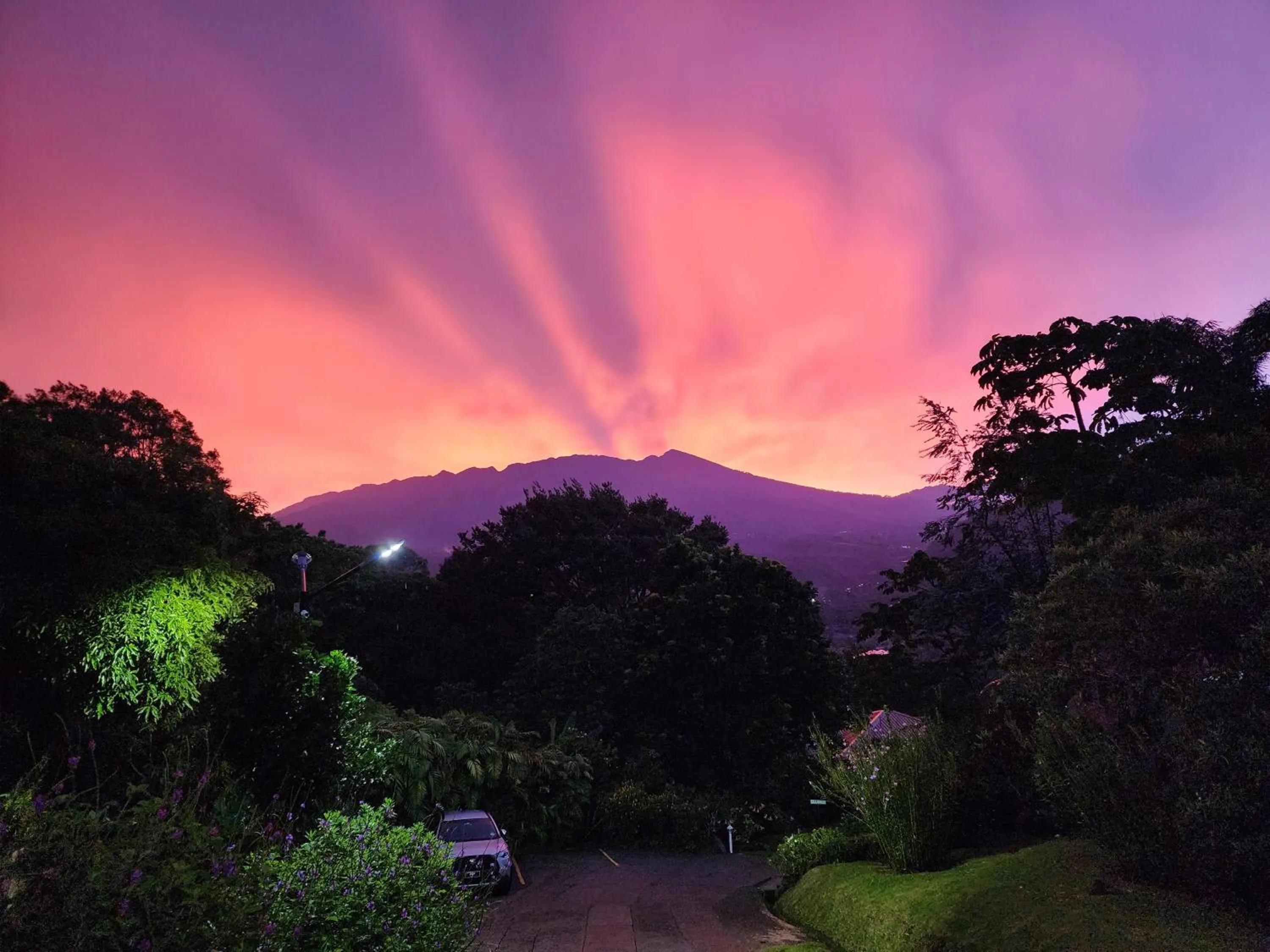 View (from property/room) in Coffee Estate Inn