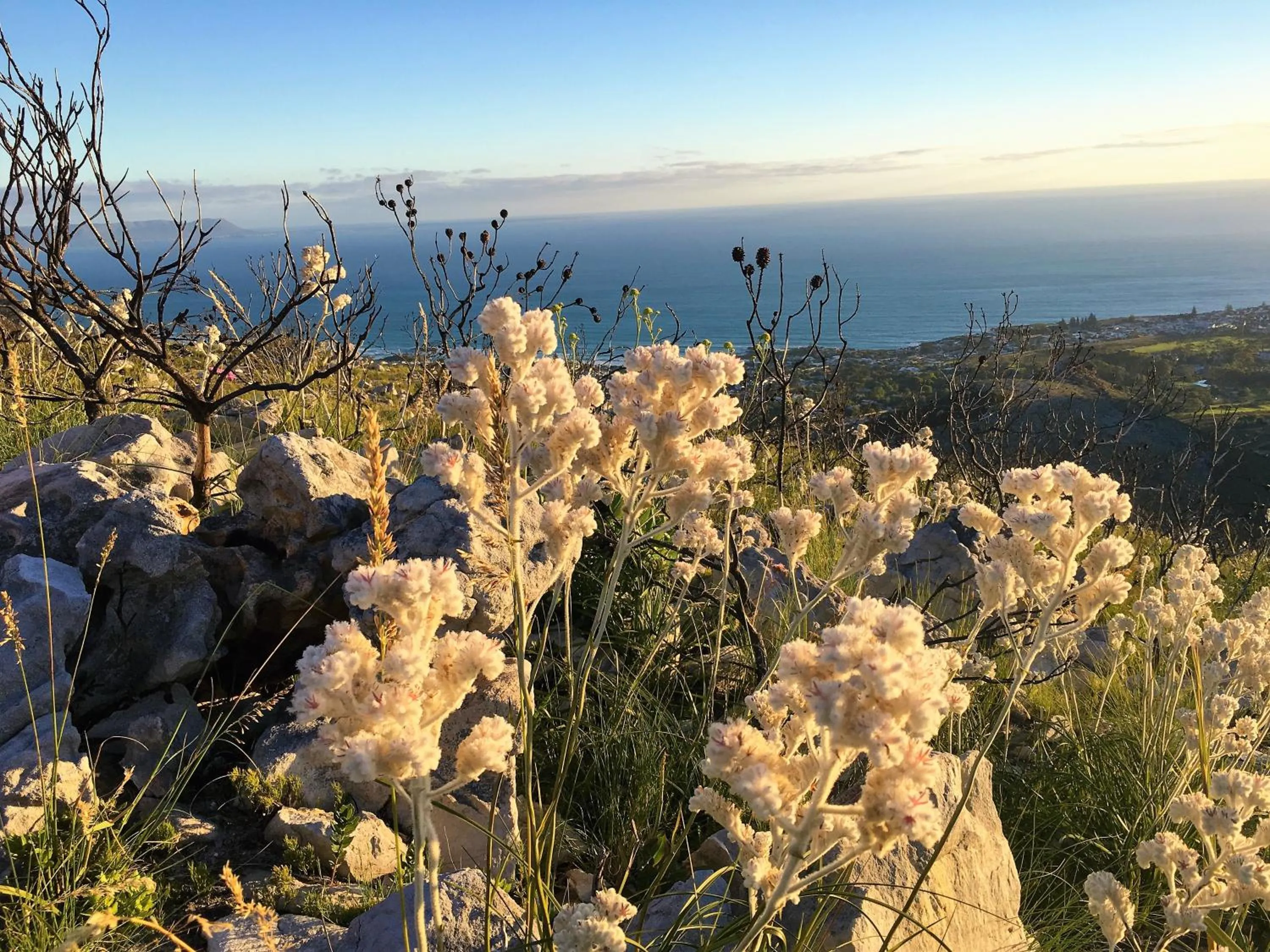 Nearby landmark in The Gables Hermanus