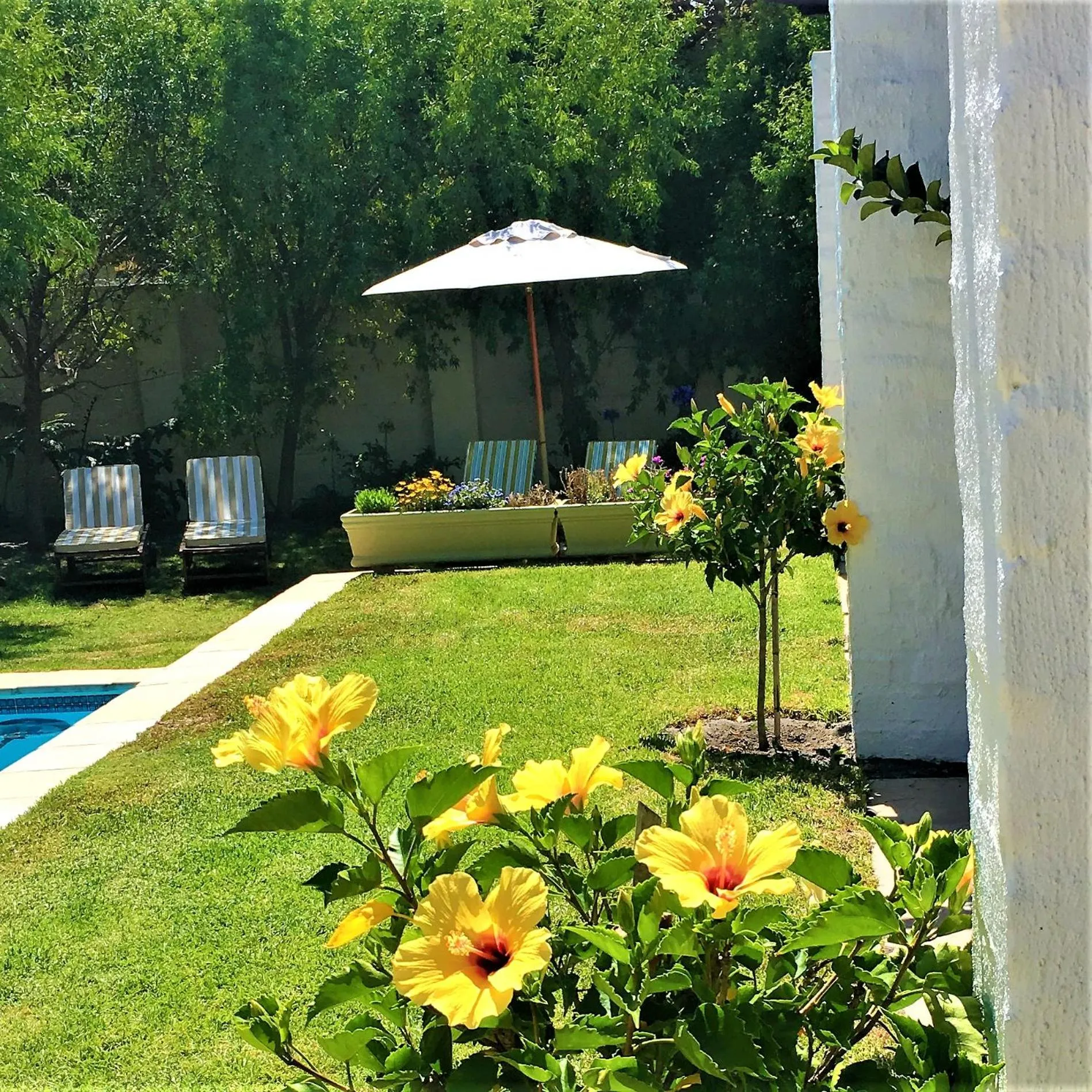 Garden in The Gables Hermanus