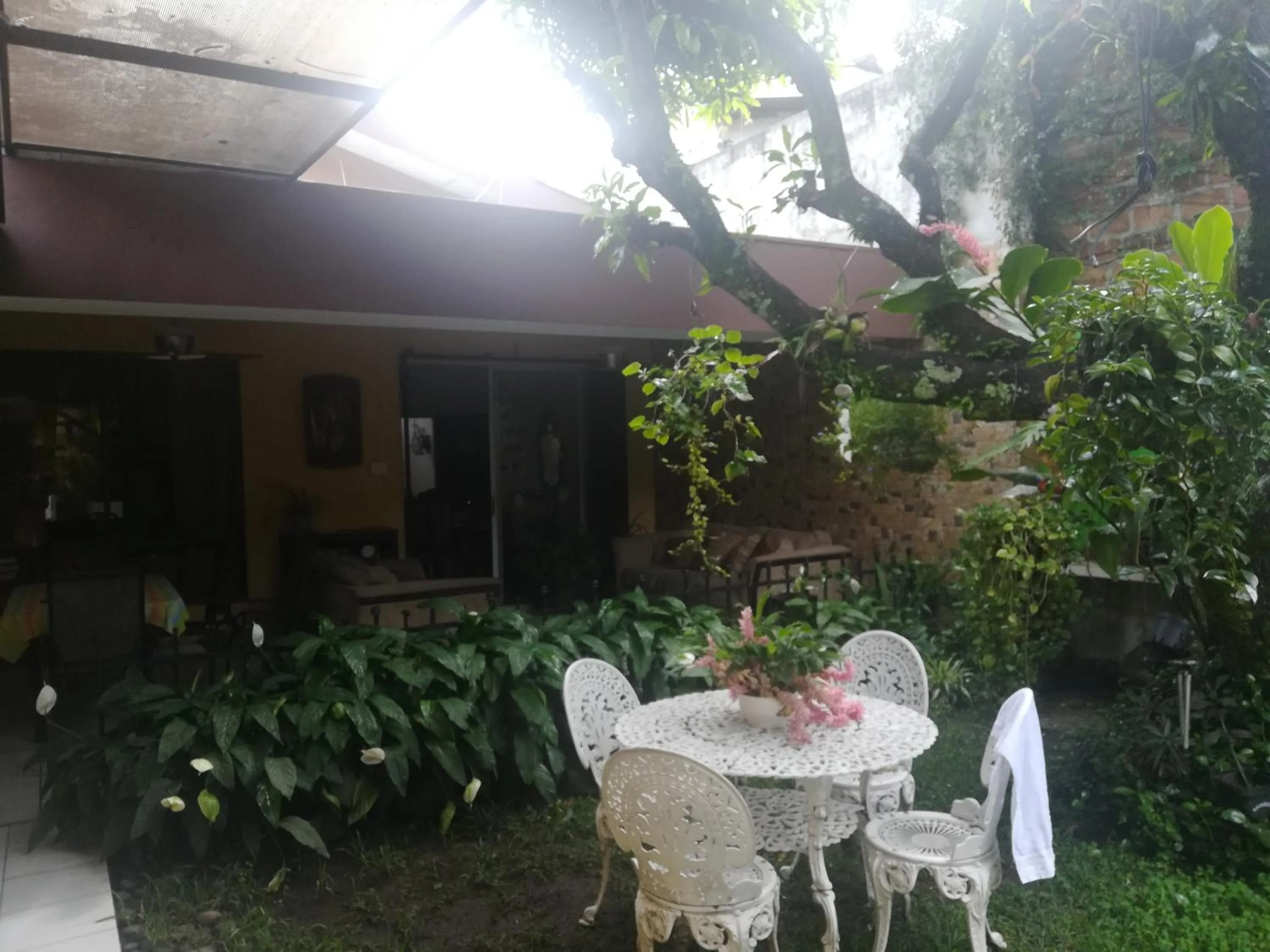 Garden in Hotel Antiguo