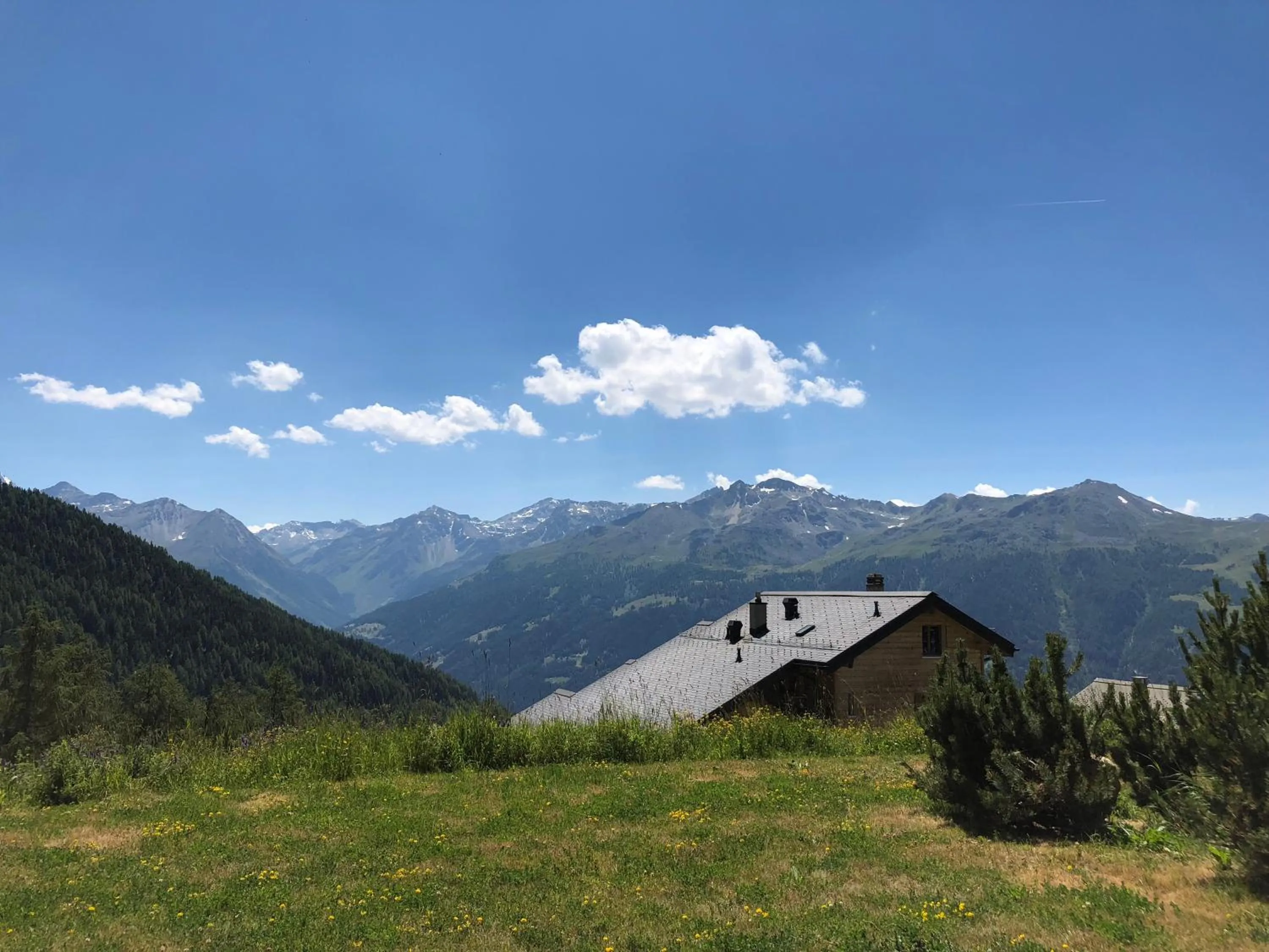Garden view in Chandolin Boutique Hotel