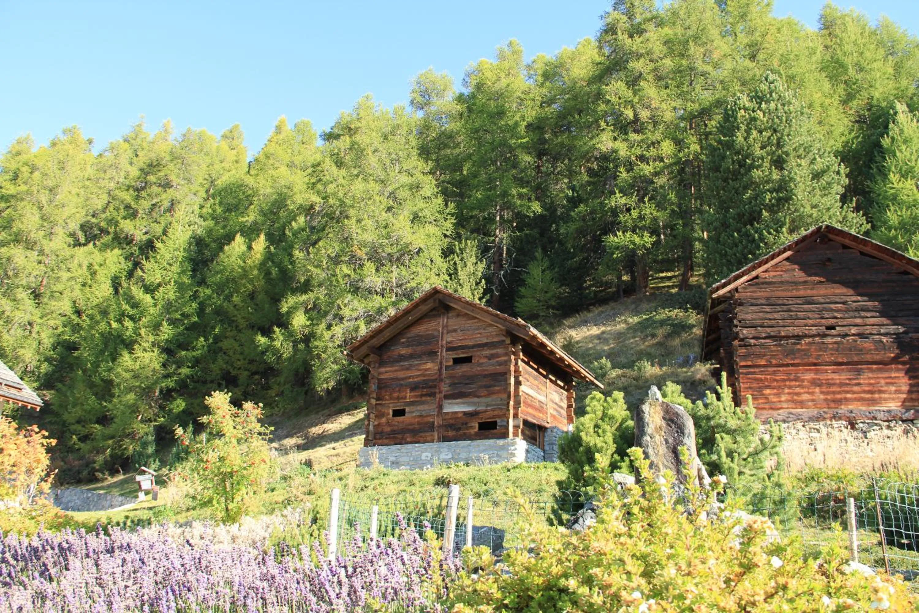 Staff in Chandolin Boutique Hotel