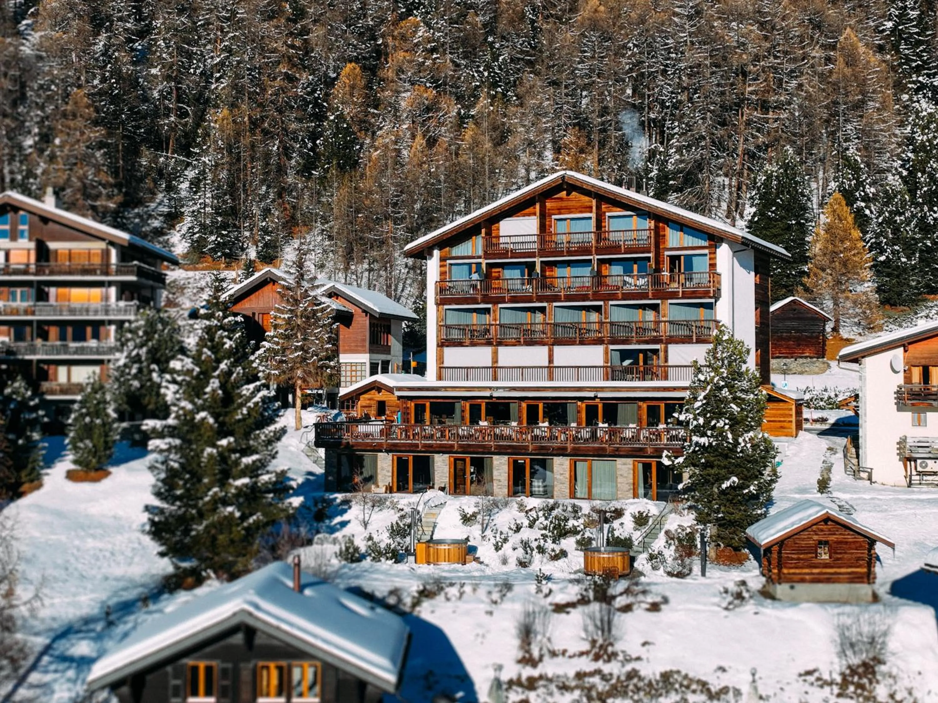 View (from property/room) in Chandolin Boutique Hotel