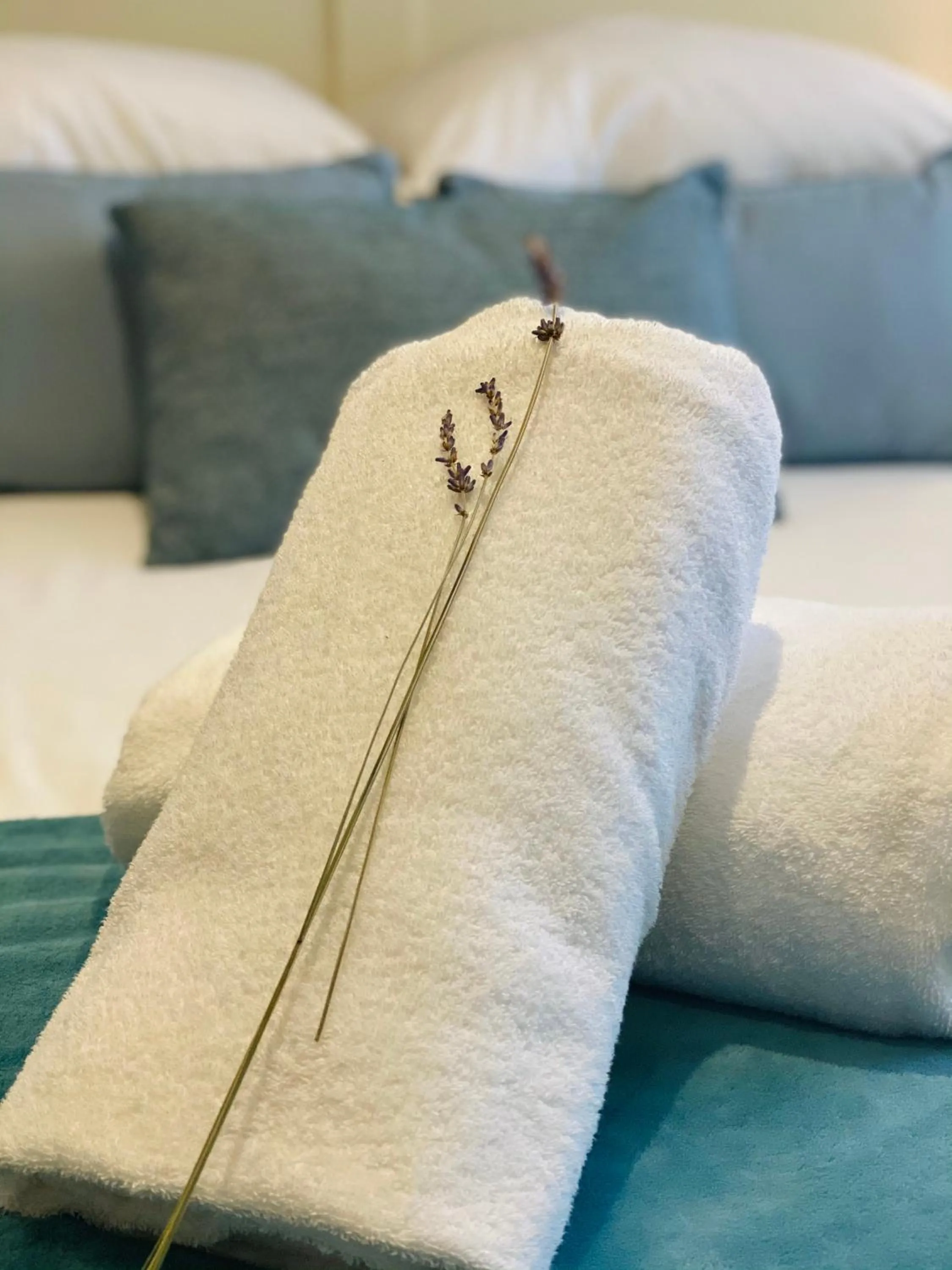 Bed in The Lodge at Broadway