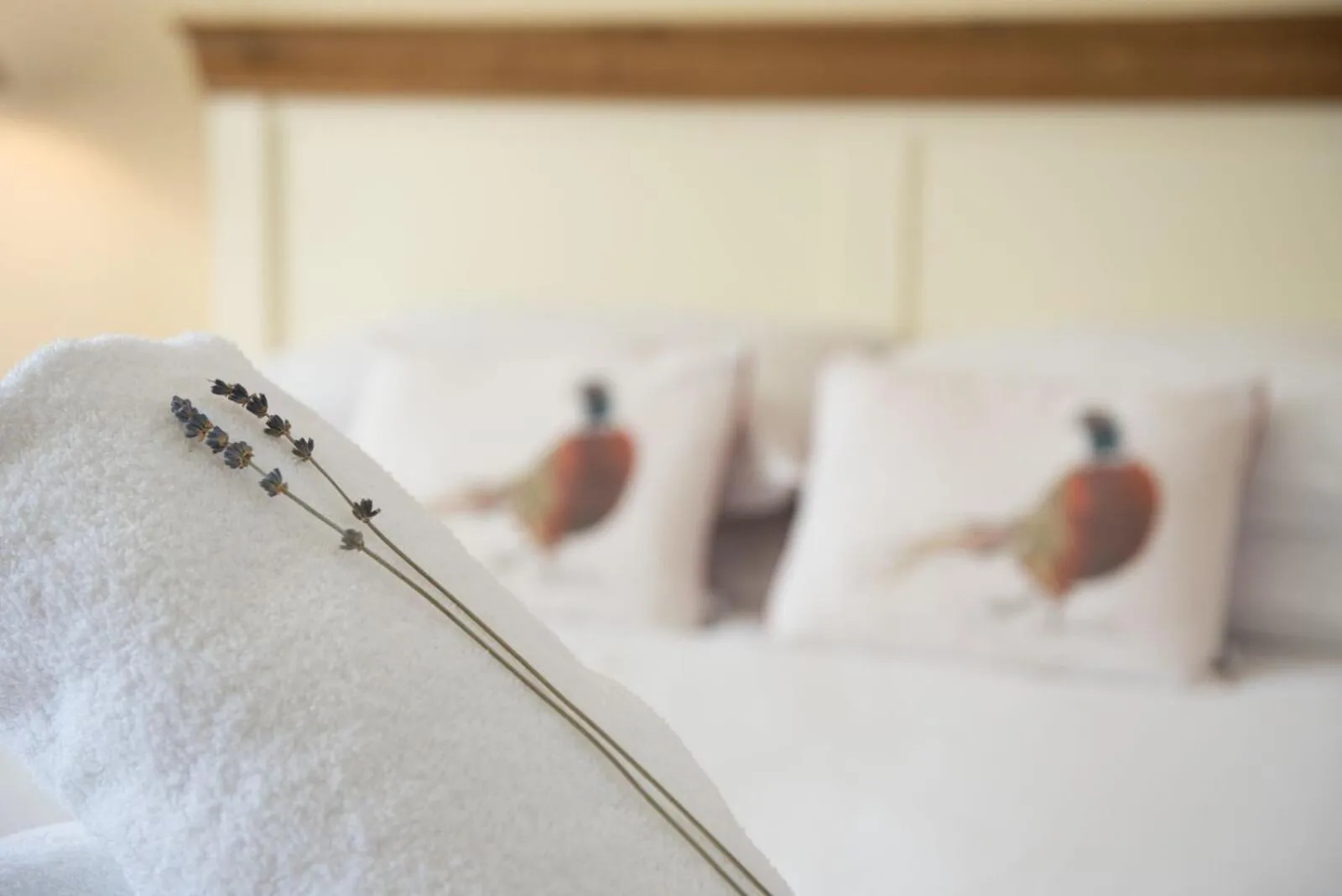 Bed in The Lodge at Broadway