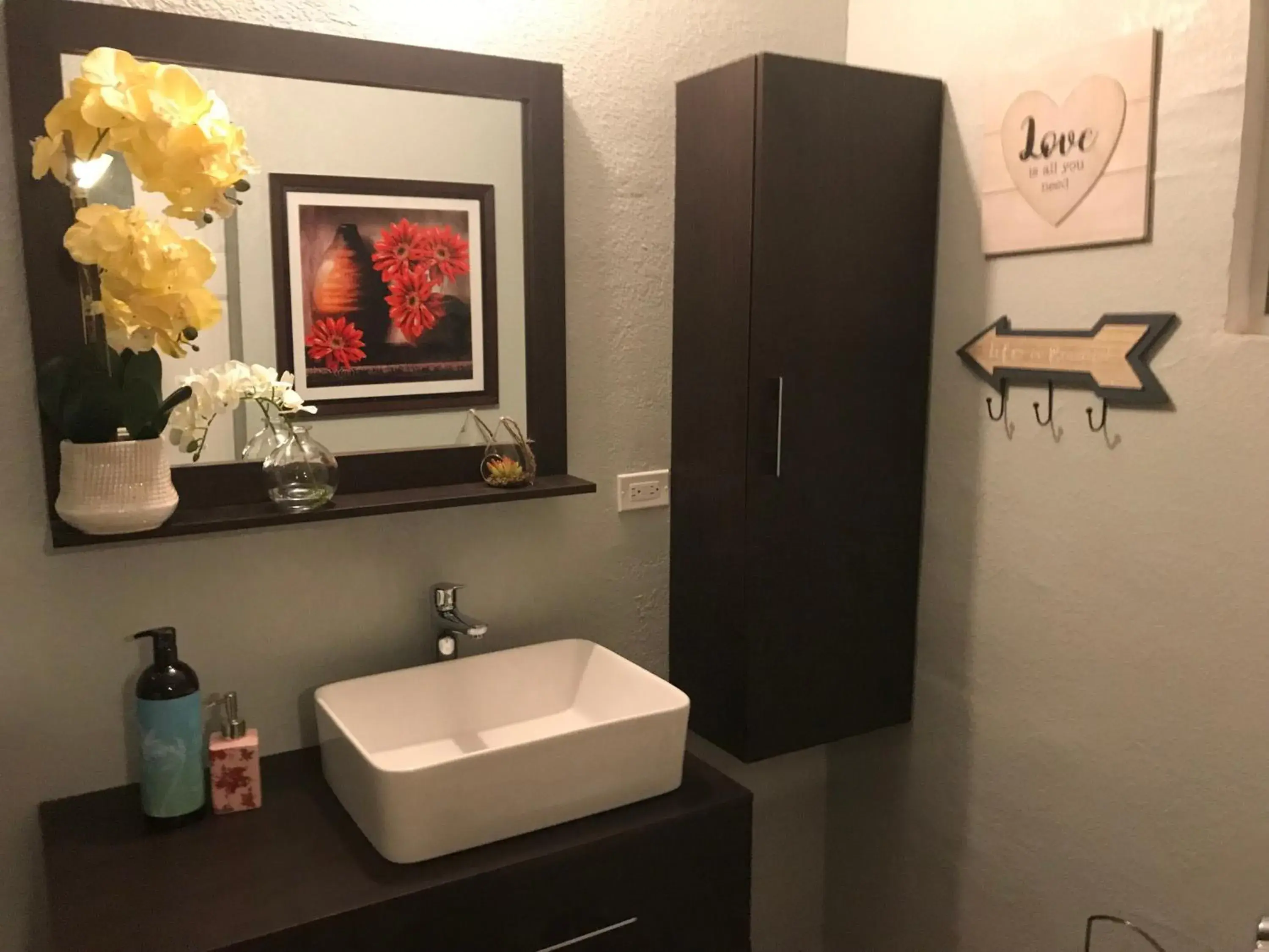 Apartment with Garden View in Abacus Jamaica the Zana Suites Apartment with Garden View in Abacus Jamaica the Zana Suites