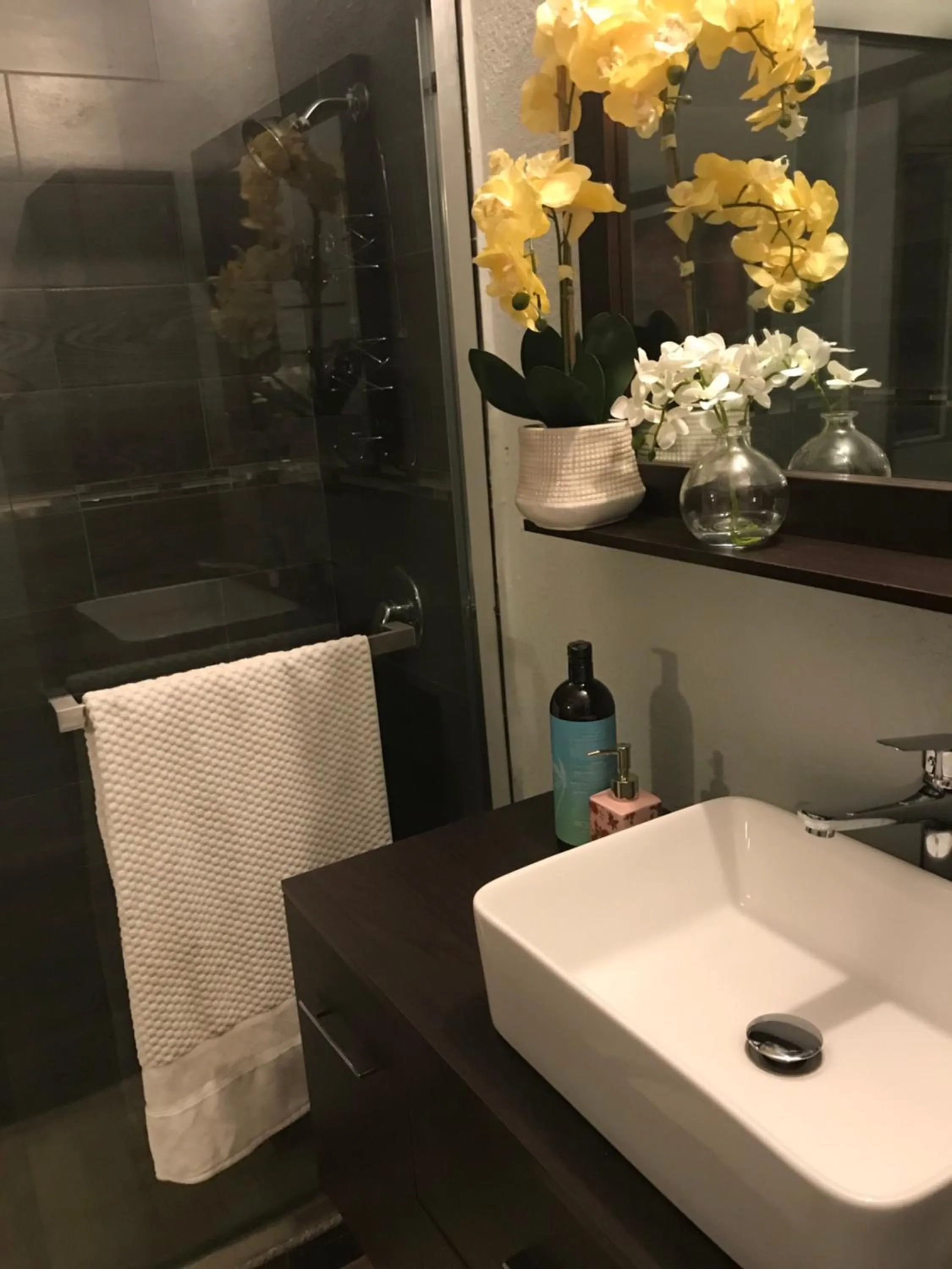 Abacus Jamaica the Zana Suites