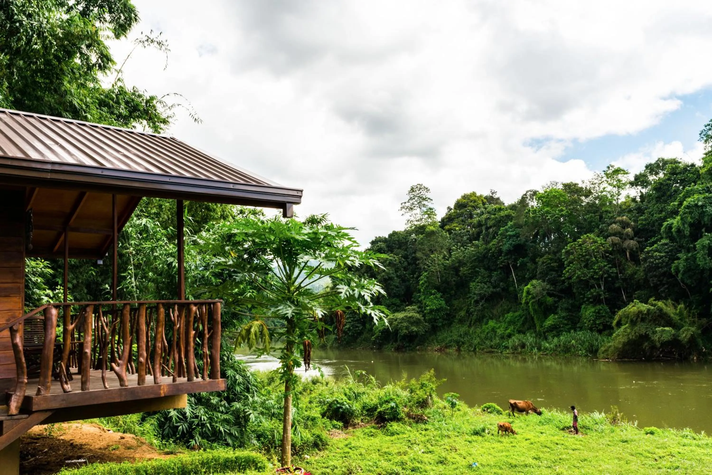 Animals in Kandy Cabana
