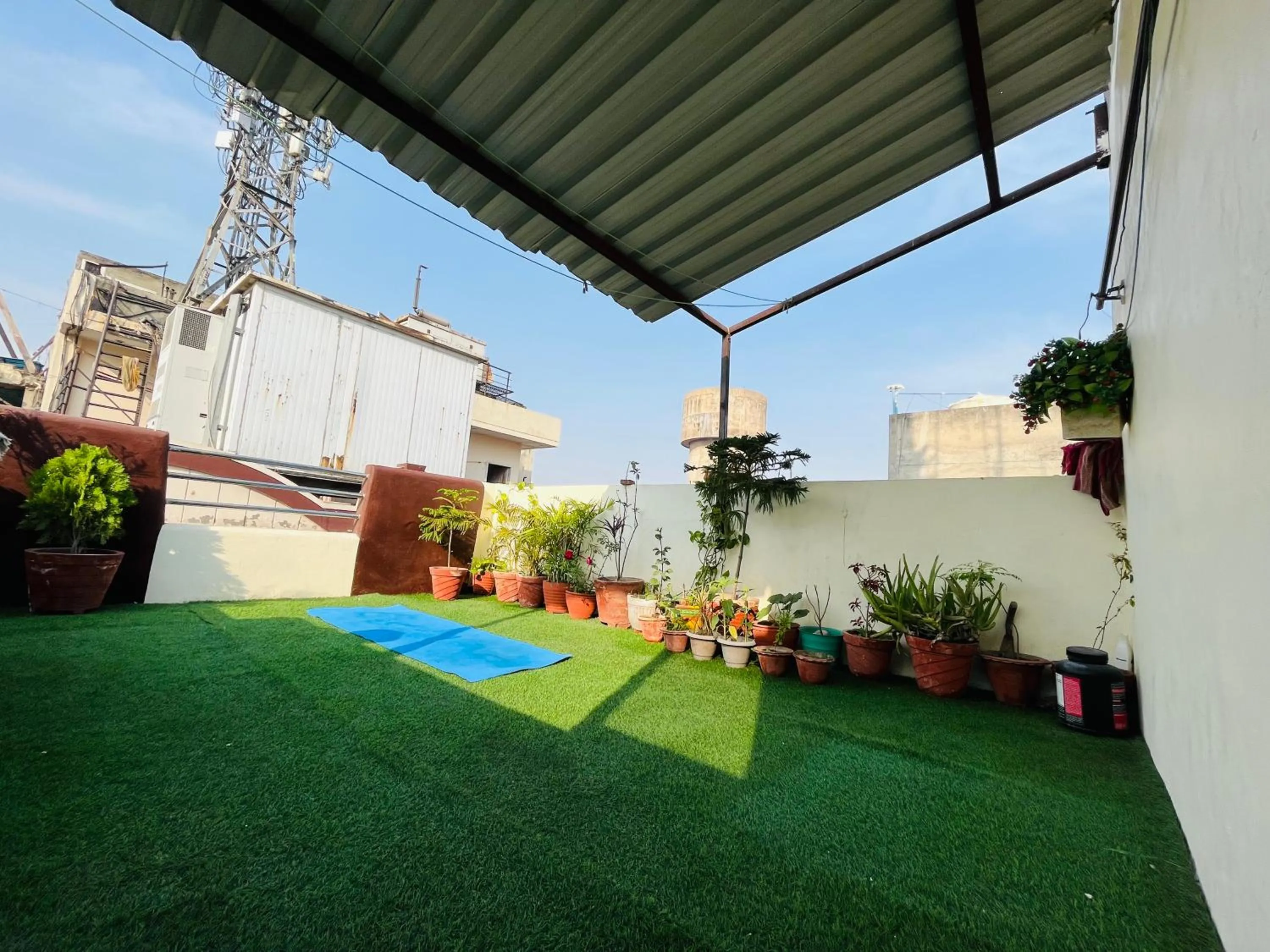 Garden in Sharma's BNB