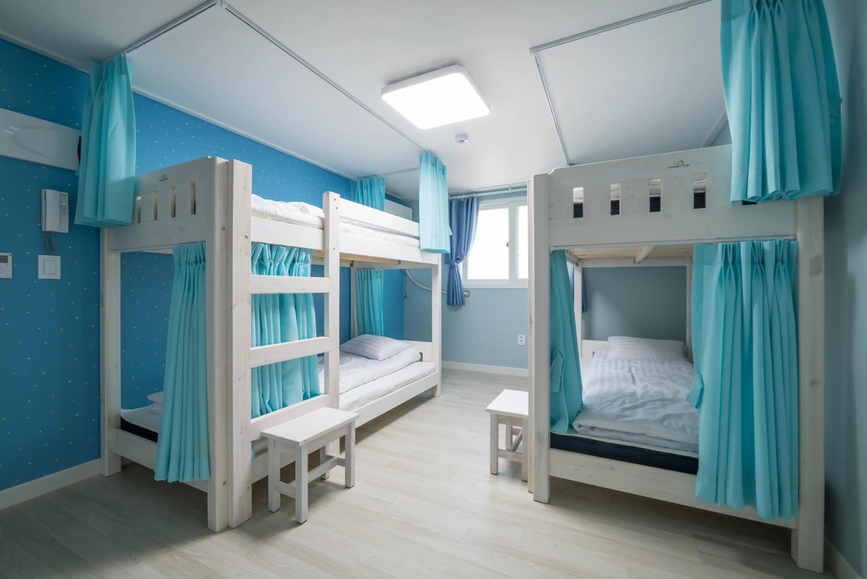 bunk bed, Bed in DreamTrip Guesthouse