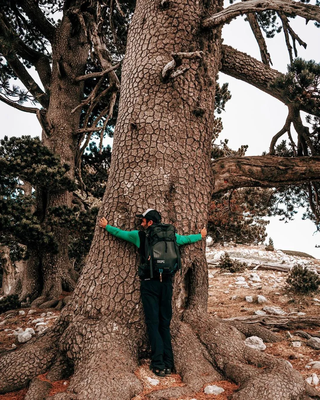 San Raffaele Hotel Restaurant & Resort