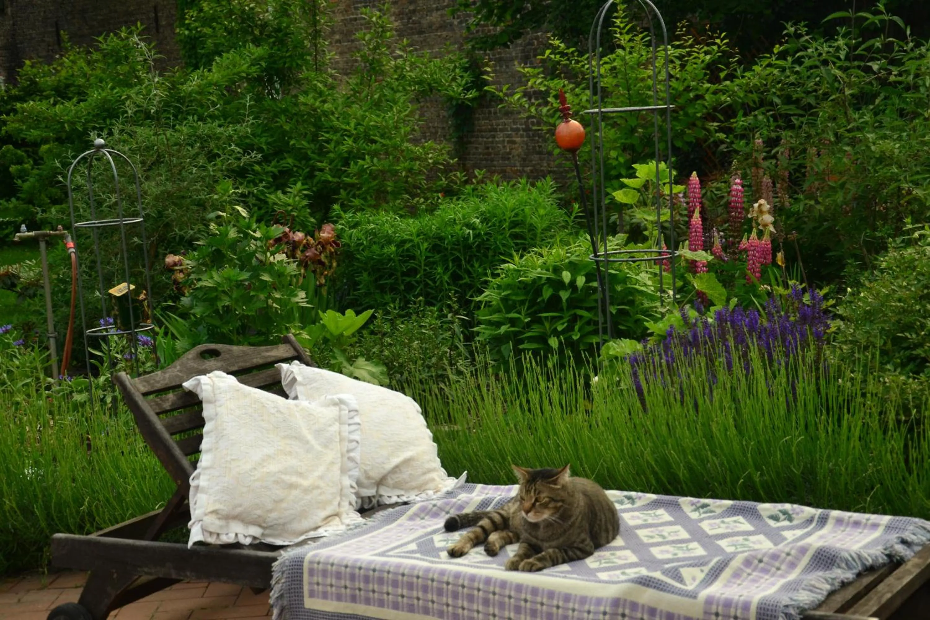 Animals in Garni Hotel Lavendelhof