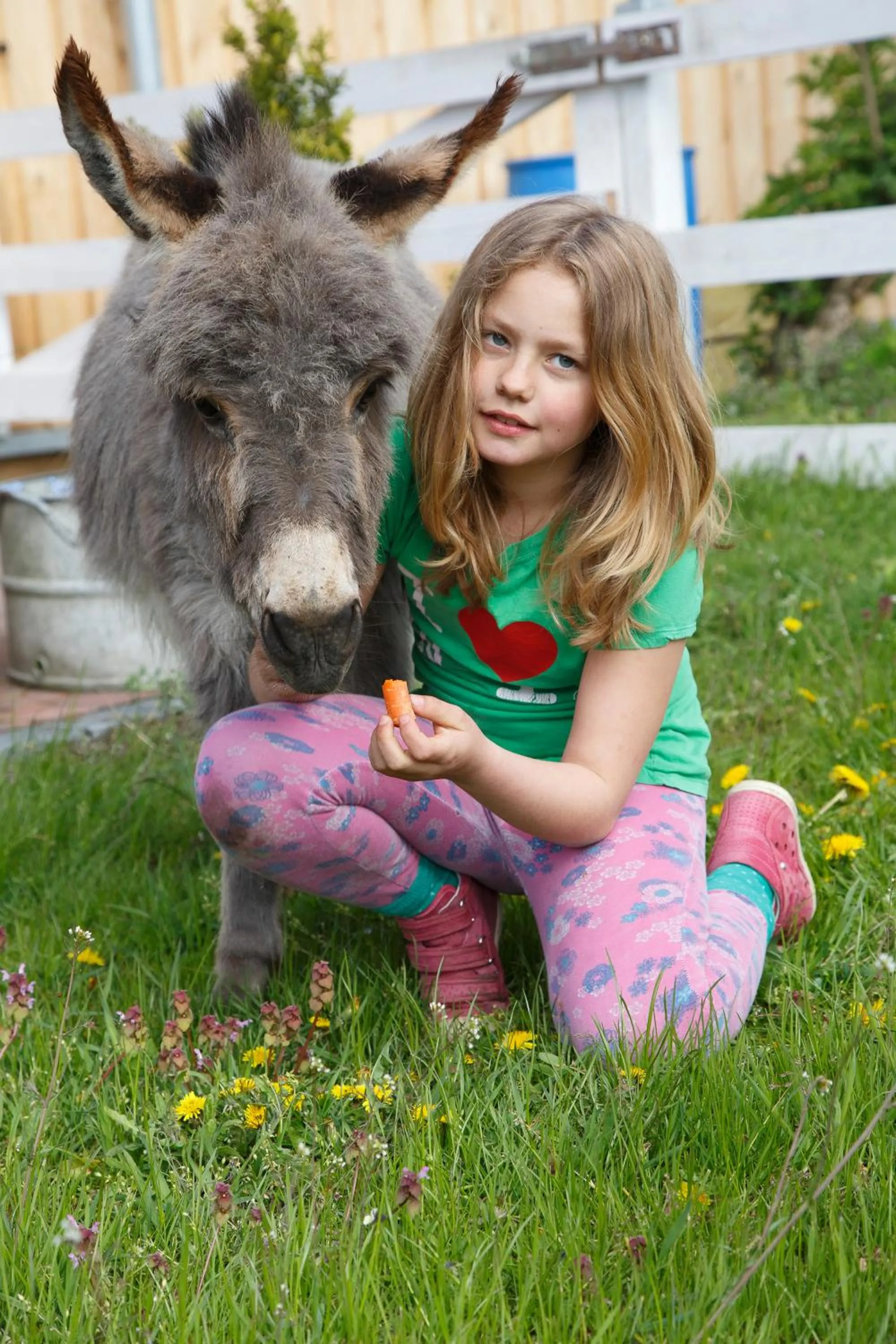 Animals in Garni Hotel Lavendelhof