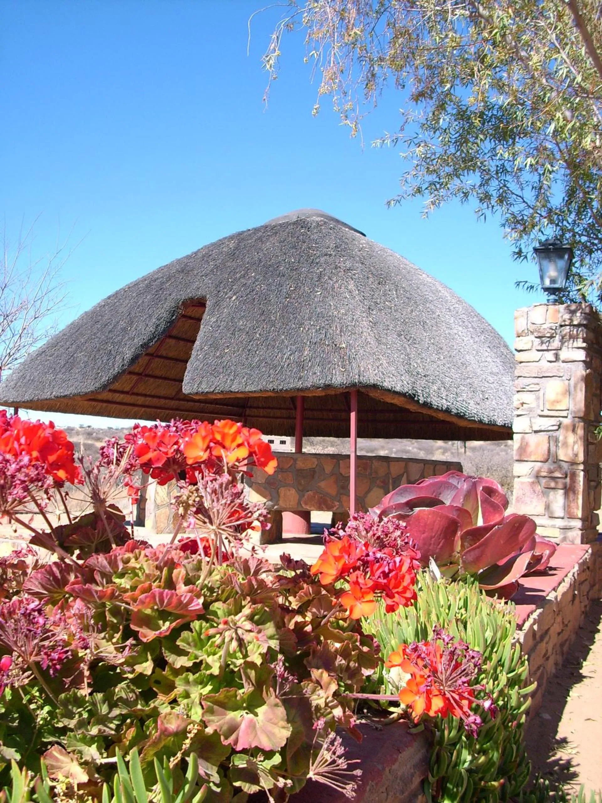 Area and facilities in Murangi Travel Lodge
