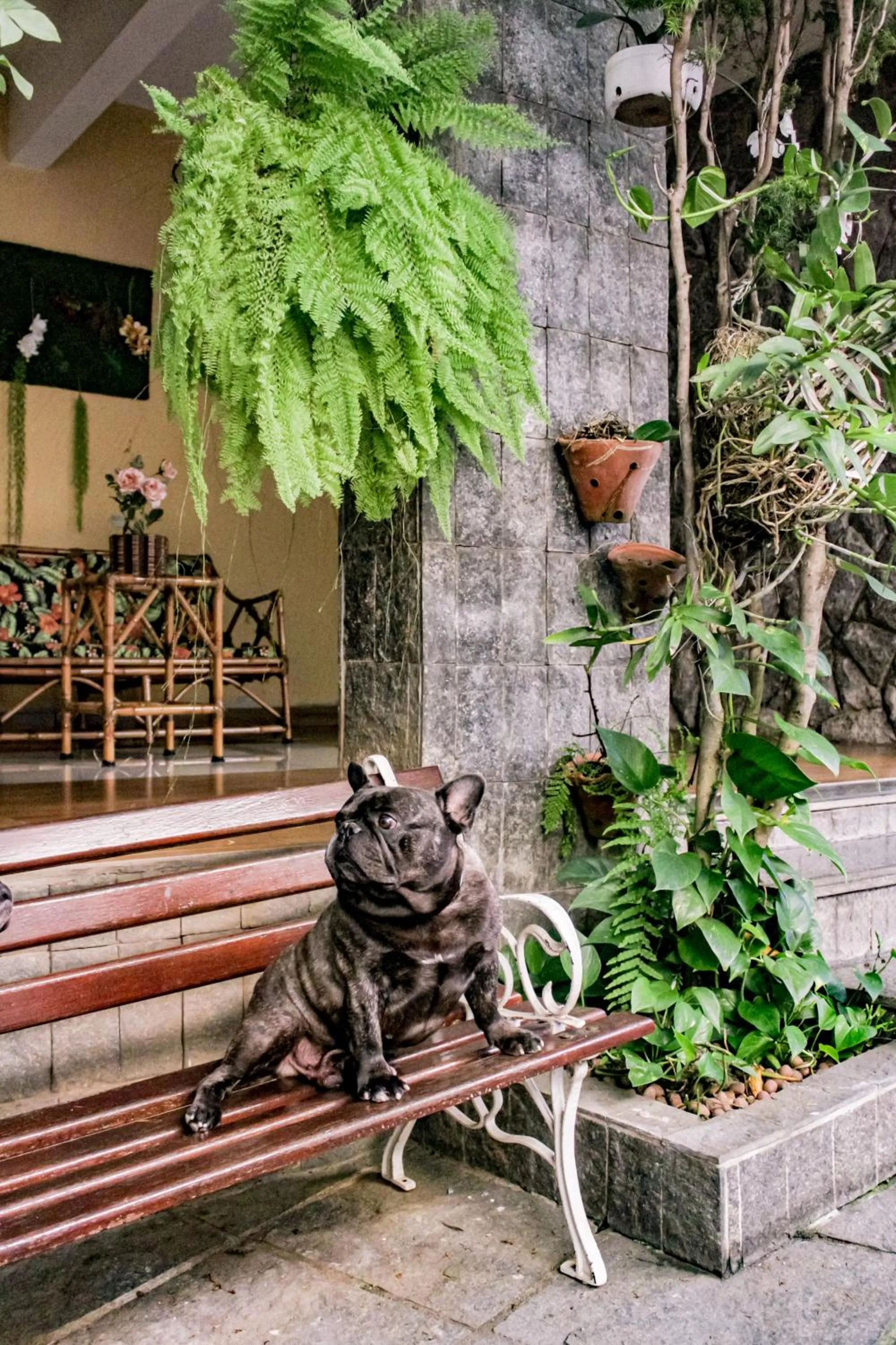 Garden in Hotel Primavera Betim