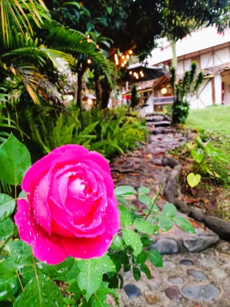 Spring in Hotel La Casa de Francois