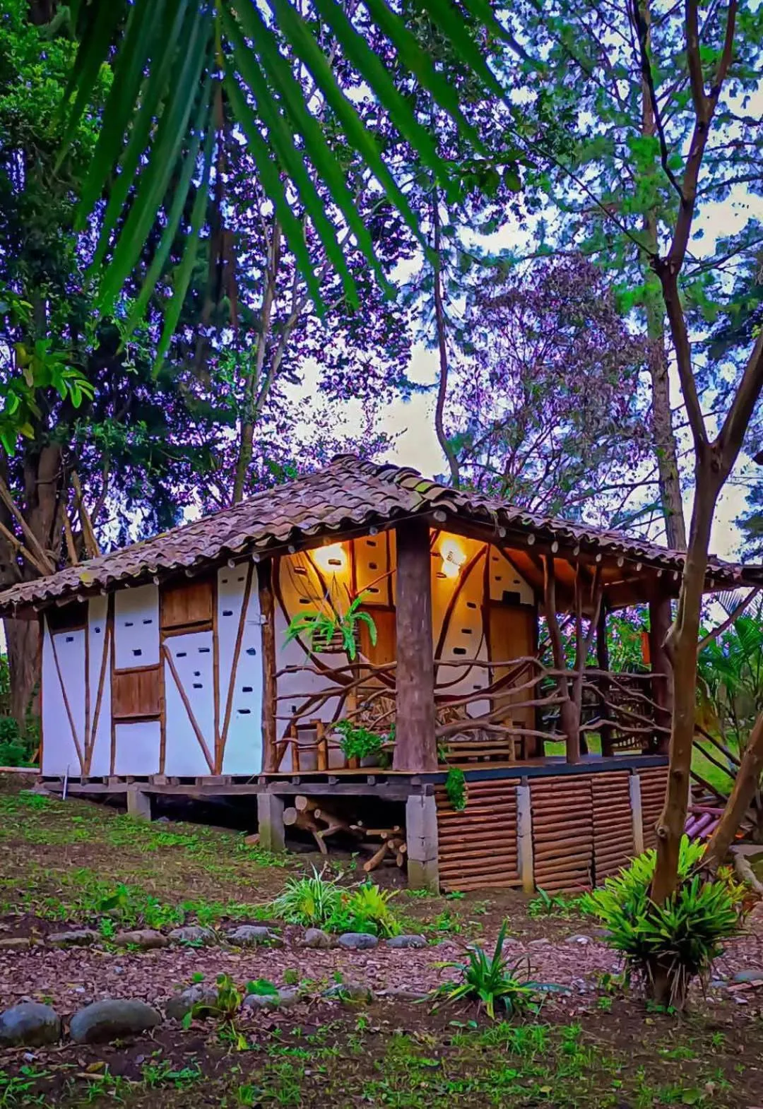 Garden in Hotel La Casa de Francois