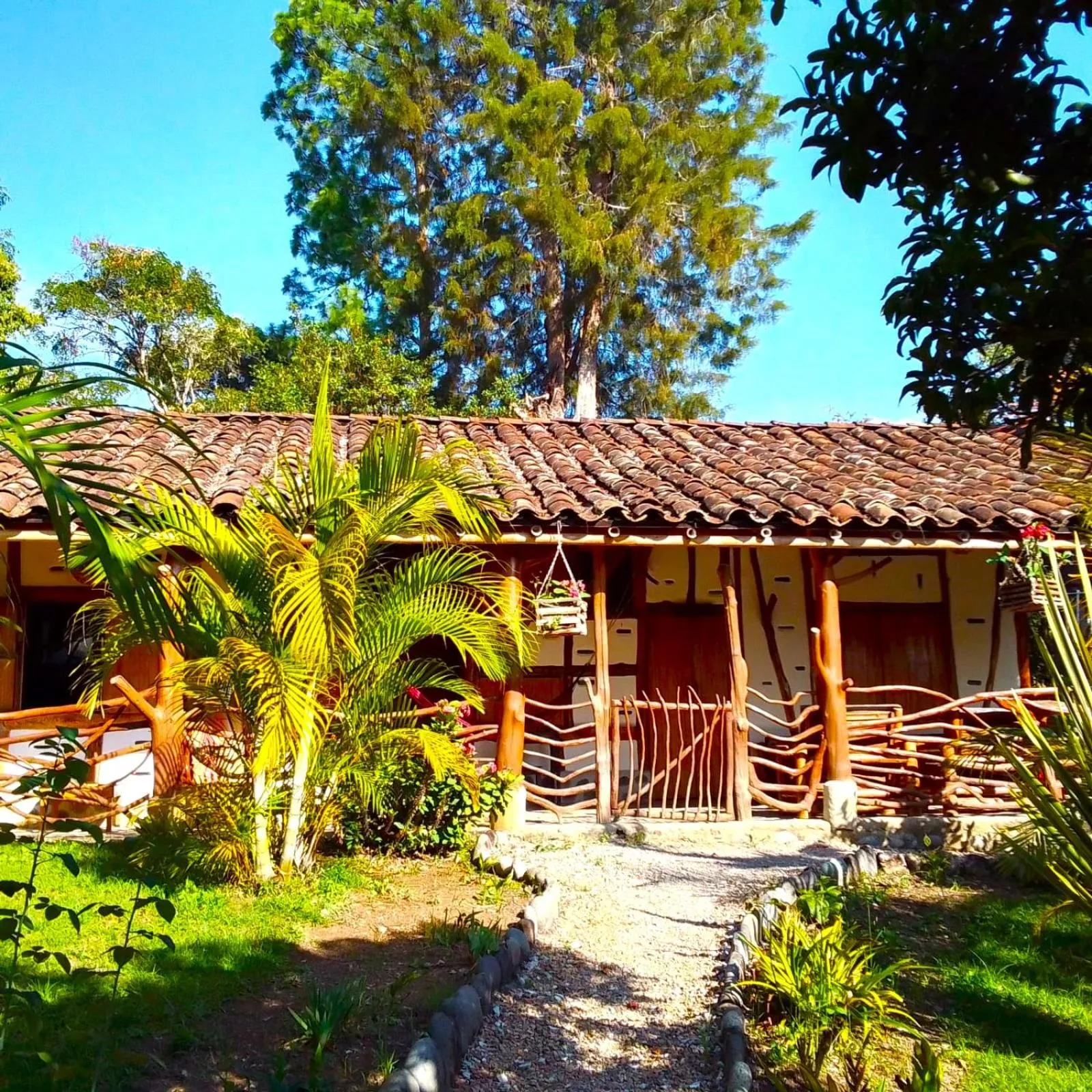 Garden in Hotel La Casa de Francois