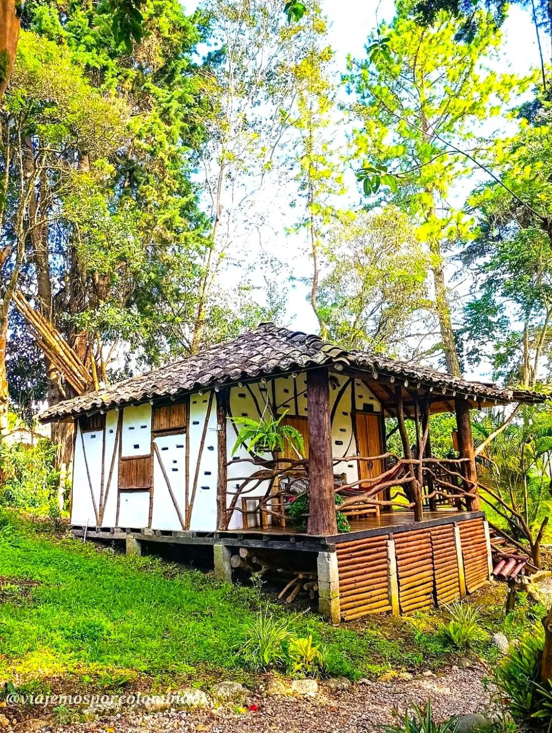 Garden view in Hotel La Casa de Francois