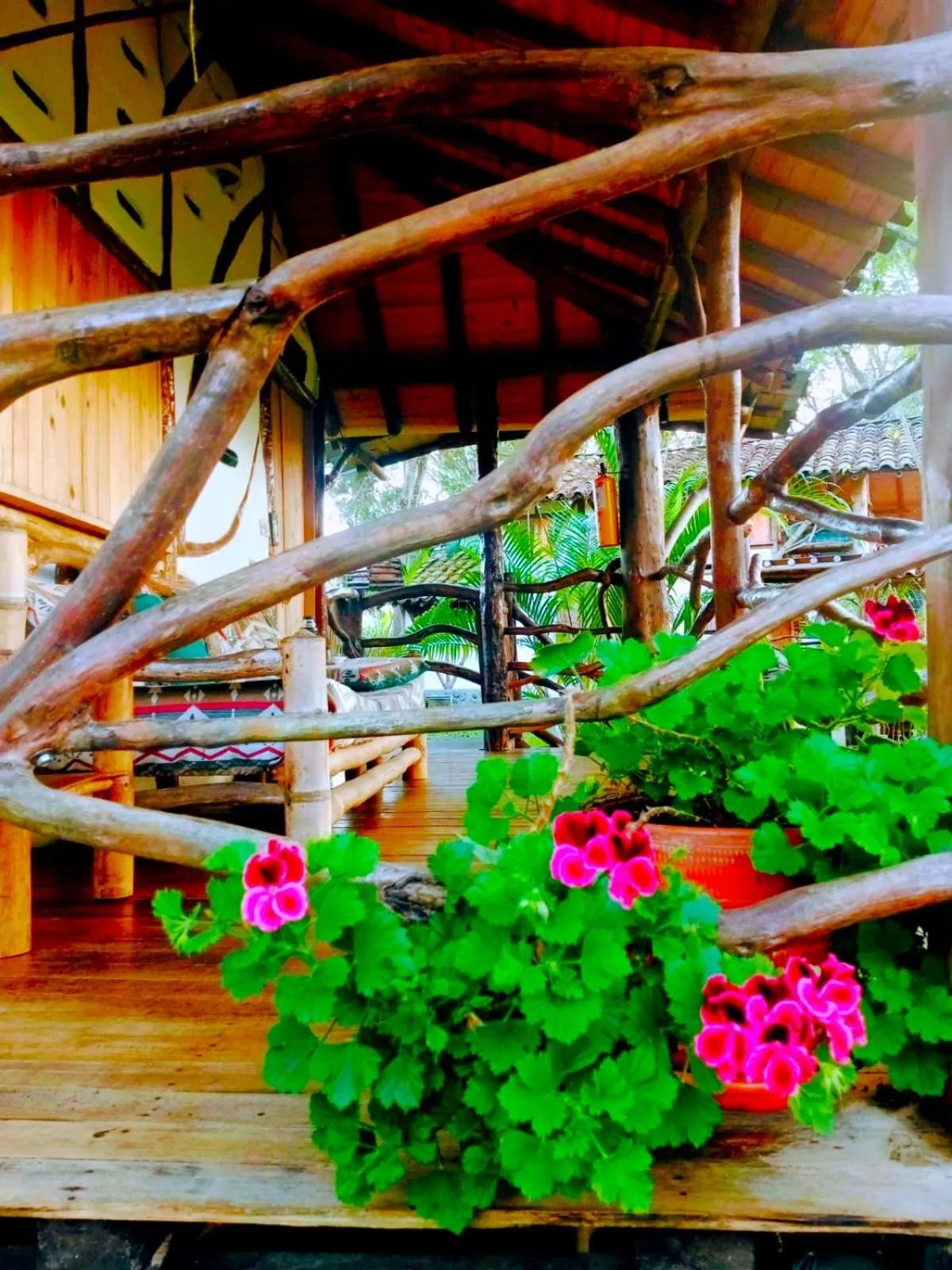 Garden in Hotel La Casa de Francois