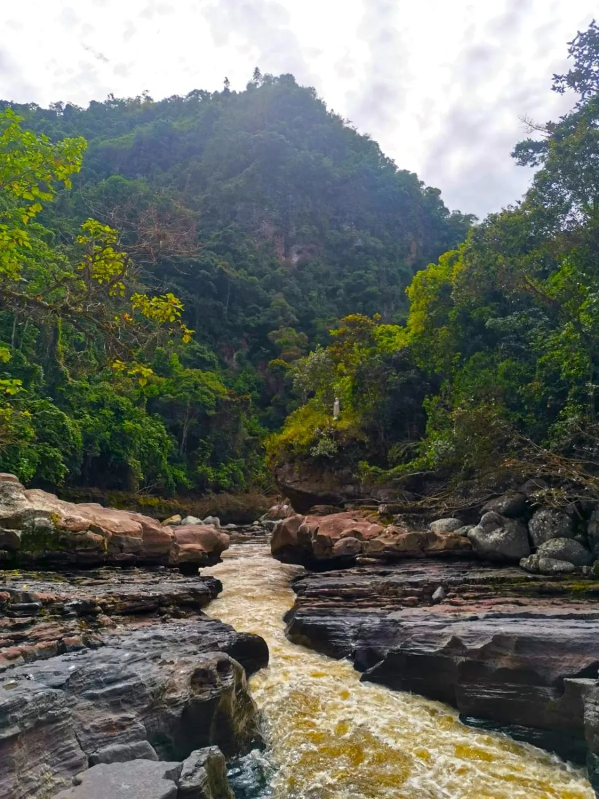 Activities in Hotel La Casa de Francois