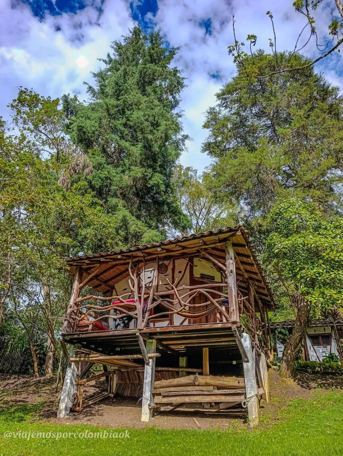 Garden view in Hotel La Casa de Francois