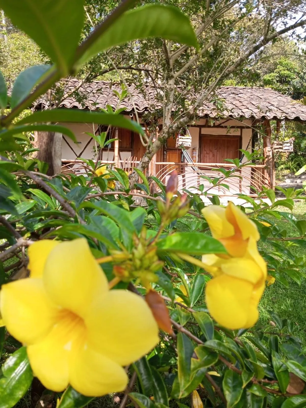 Spring in Hotel La Casa de Francois