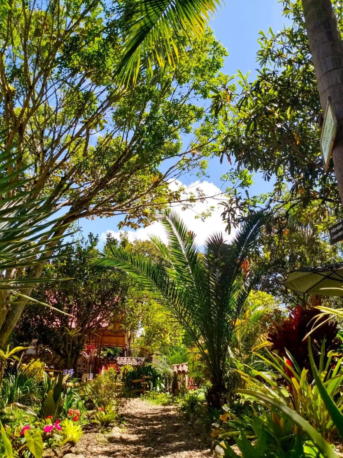 Garden in Hotel La Casa de Francois