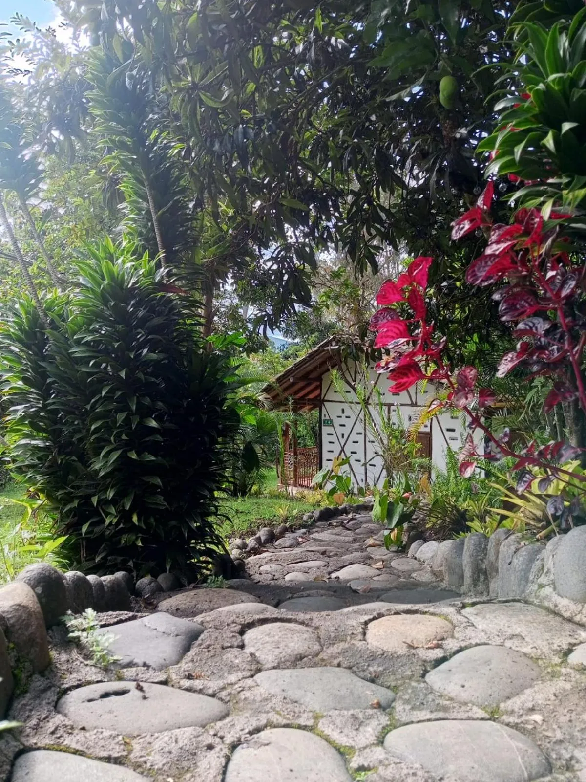 Spring in Hotel La Casa de Francois