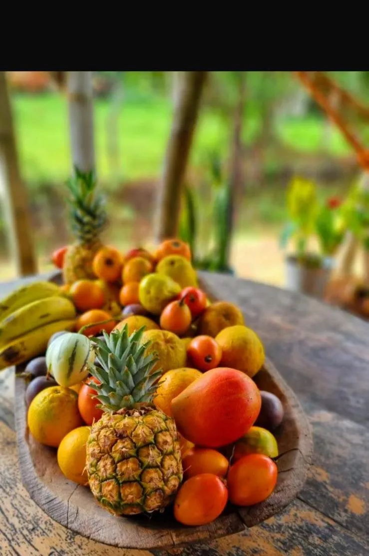 Restaurant/places to eat in Hotel La Casa de Francois