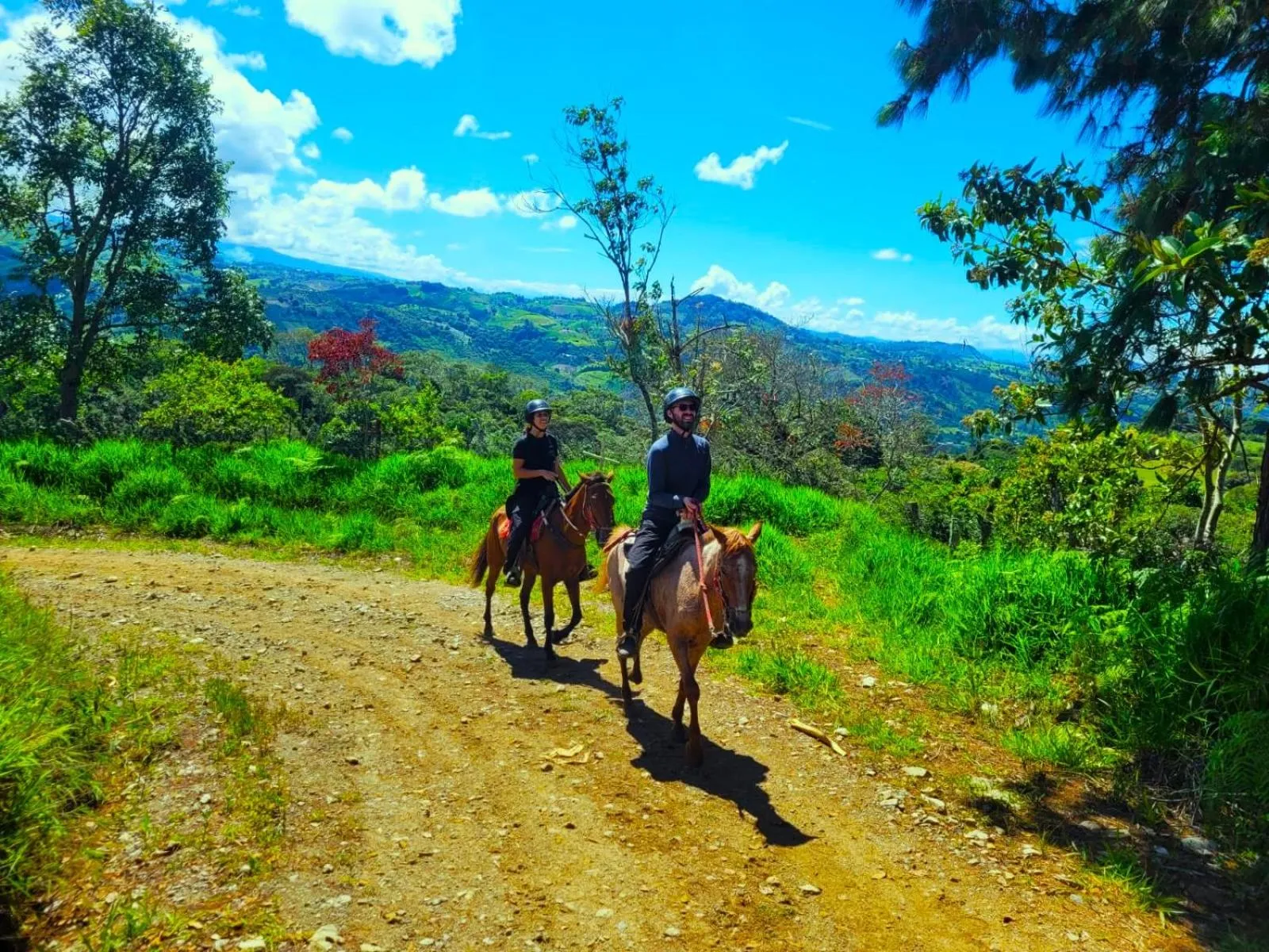 Horse-riding in Hotel La Casa de Francois