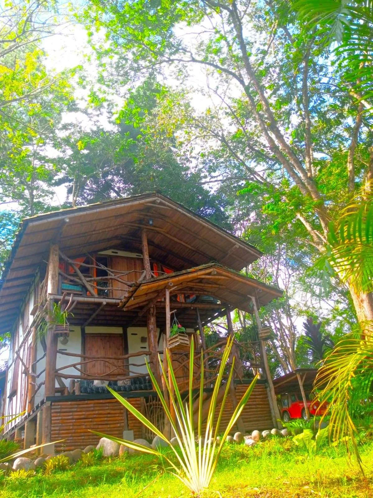 Garden view in Hotel La Casa de Francois