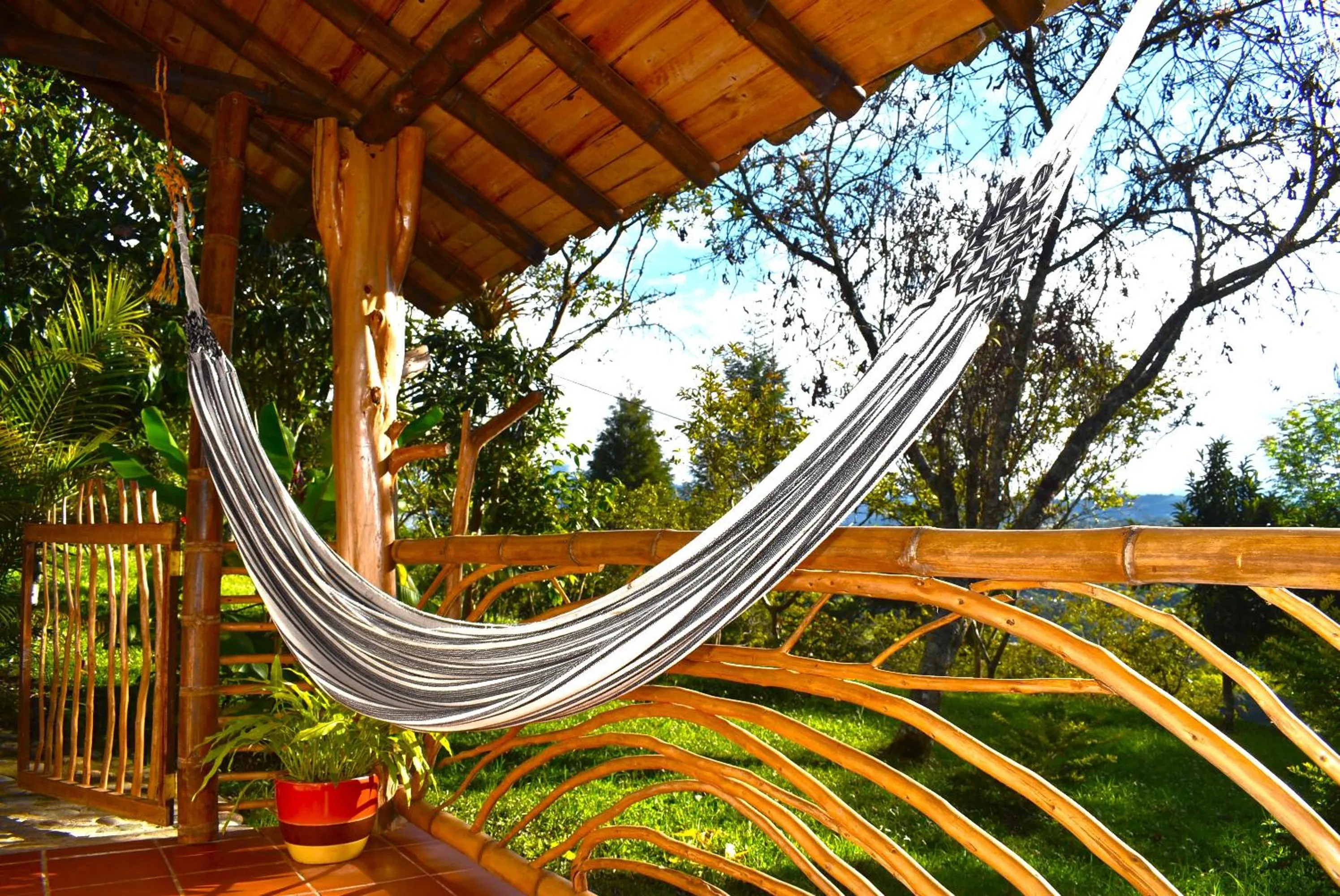 Garden view in Hotel La Casa de Francois