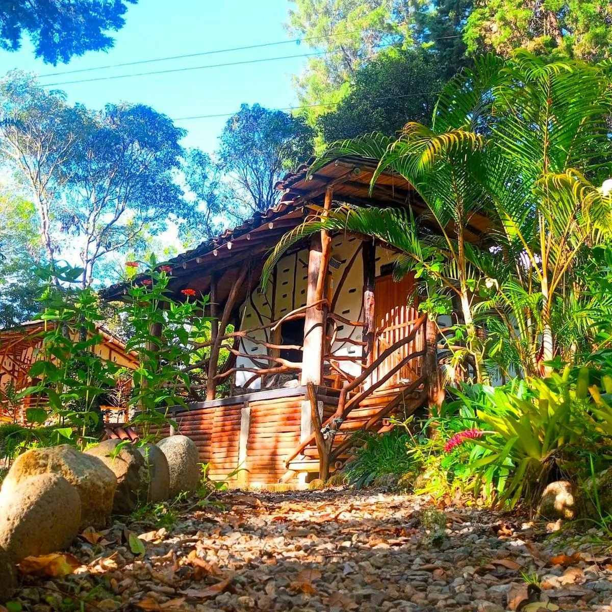 Garden in Hotel La Casa de Francois