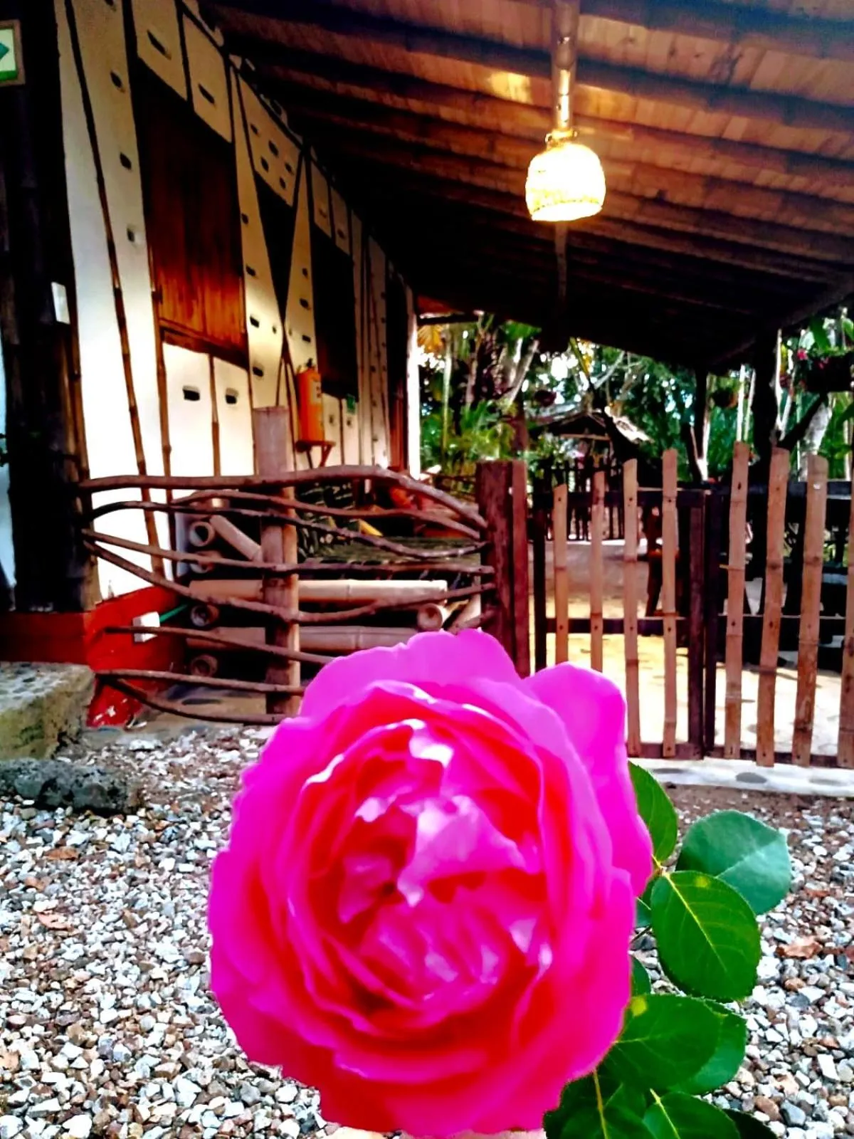Garden in Hotel La Casa de Francois