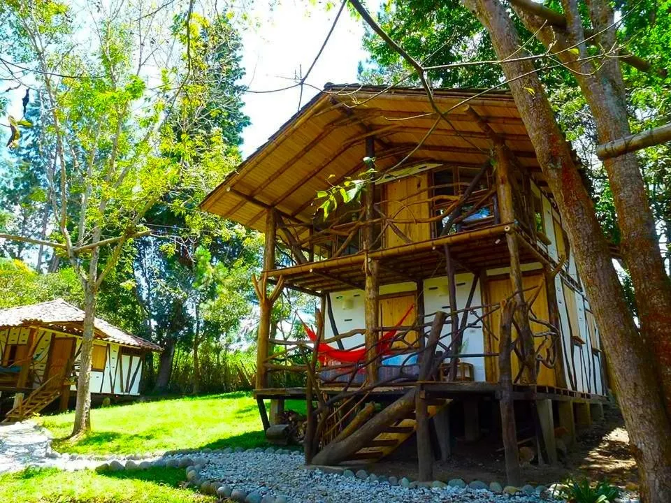 Garden view in Hotel La Casa de Francois