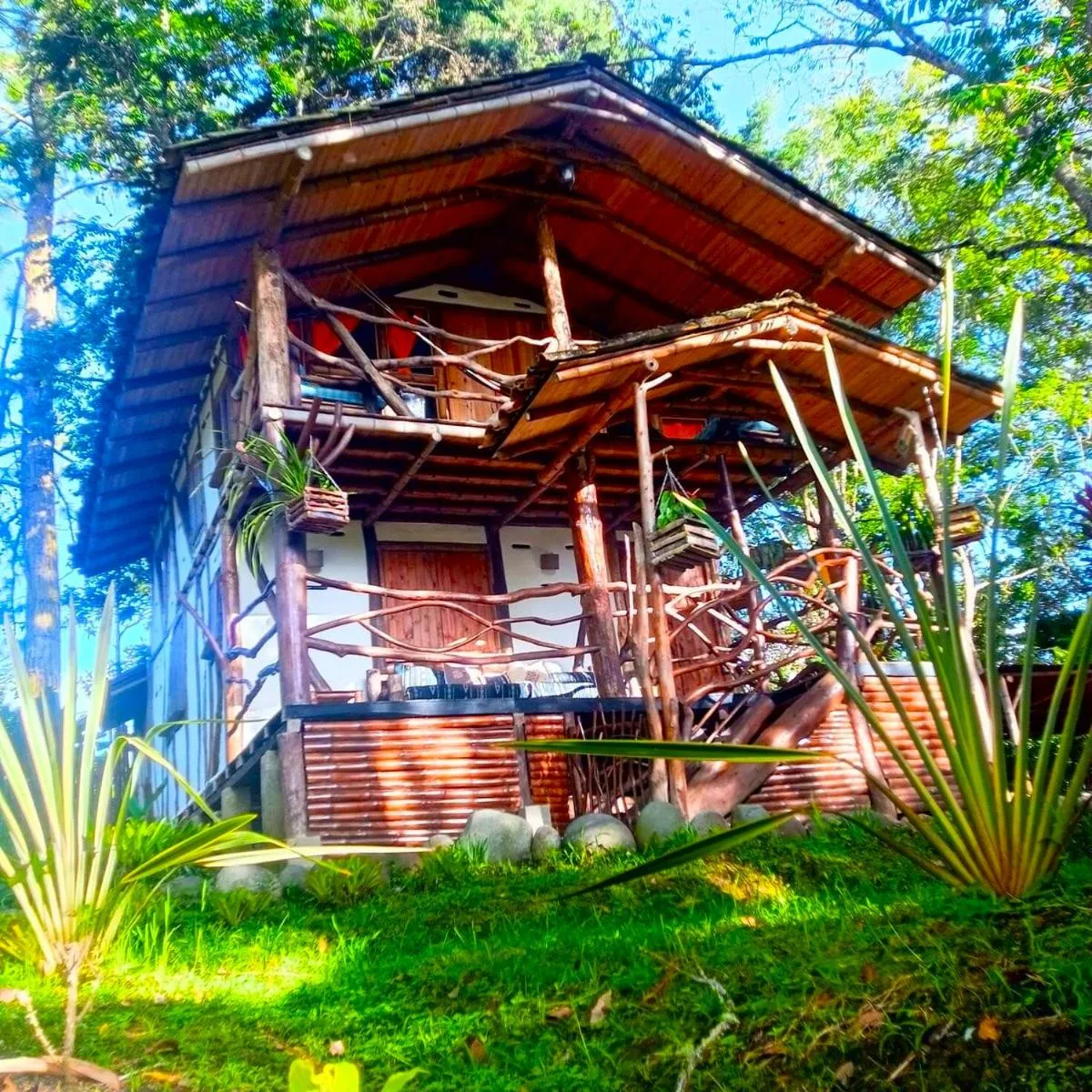 Garden in Hotel La Casa de Francois