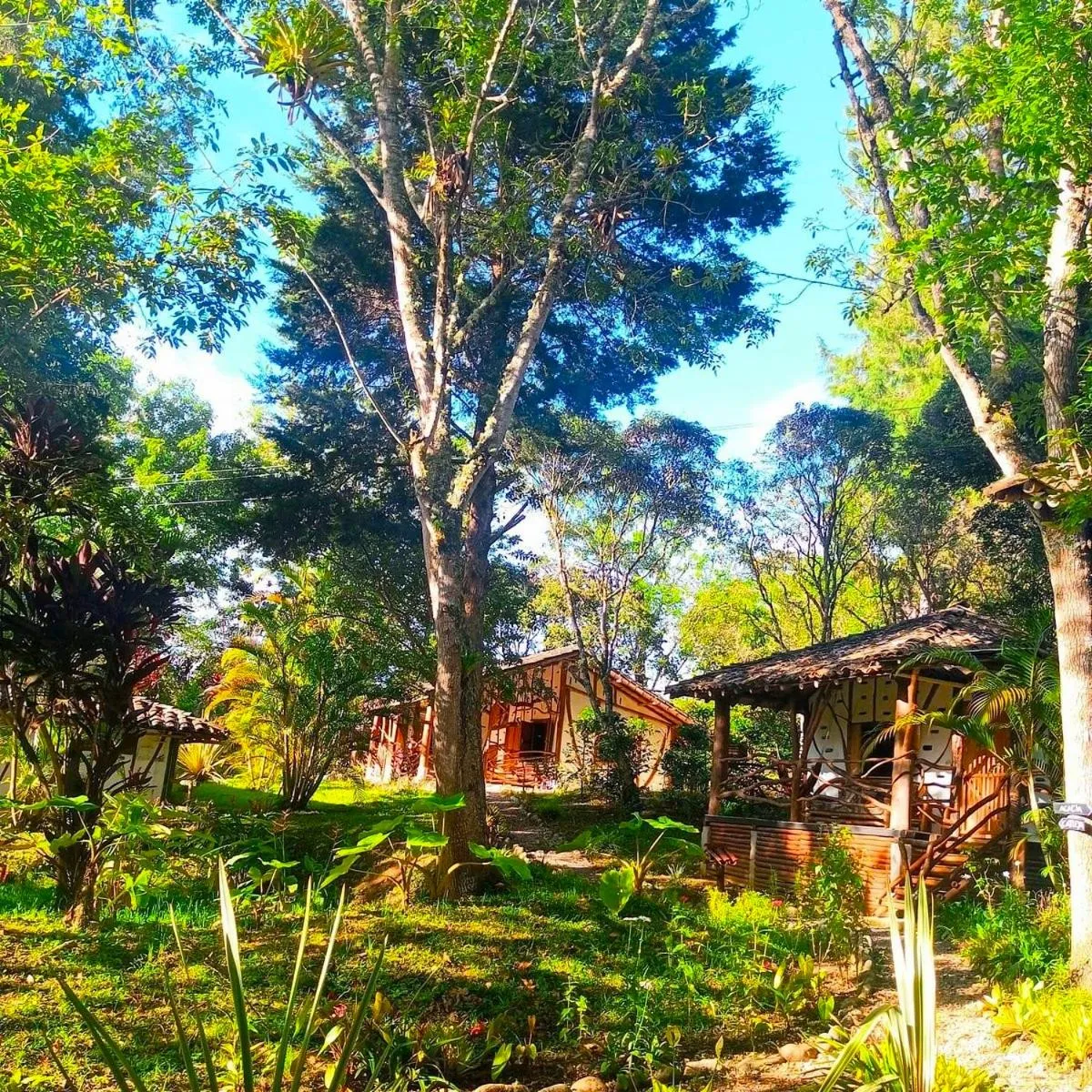 Garden in Hotel La Casa de Francois