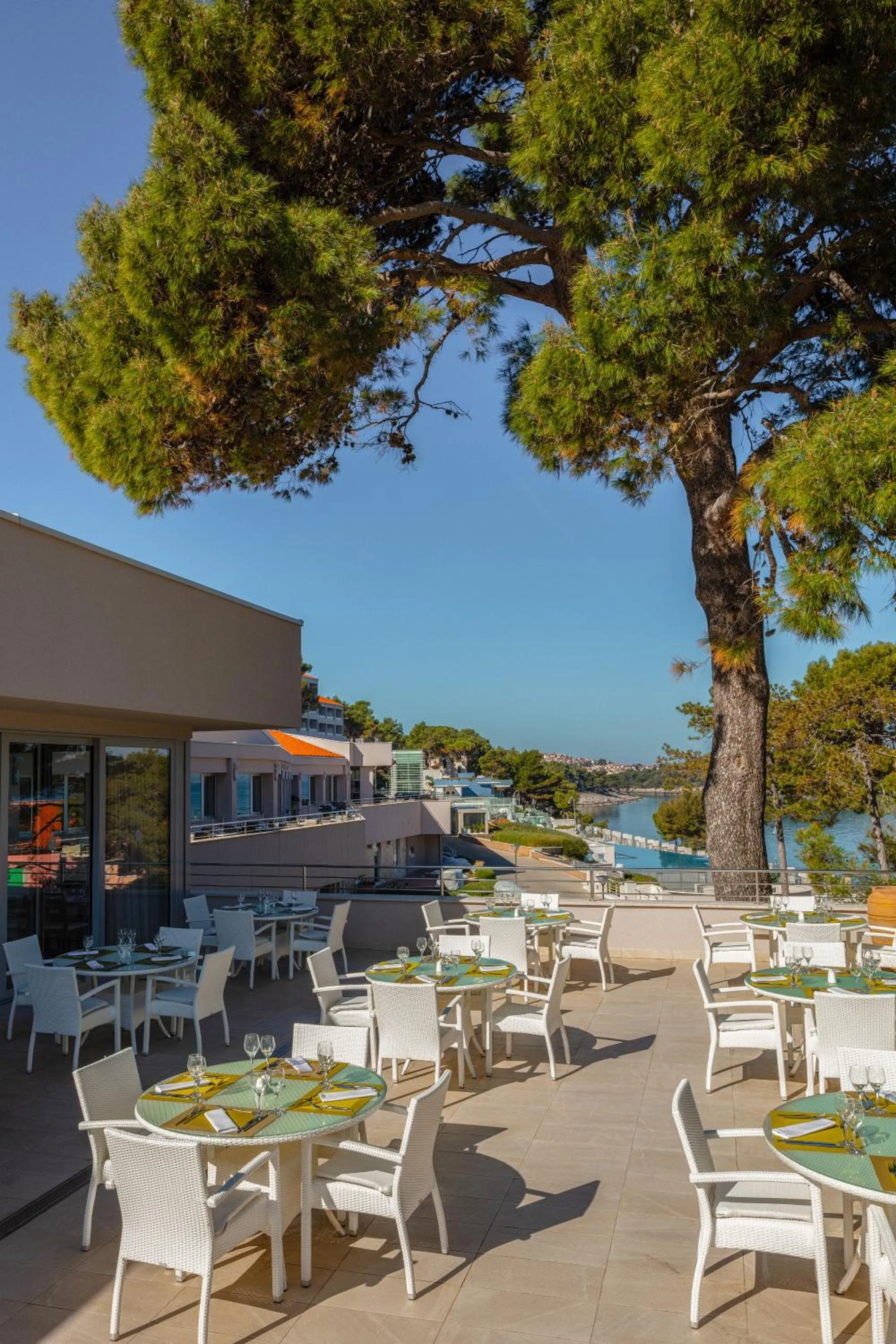 Restaurant/places to eat in Vitality Hotel Punta