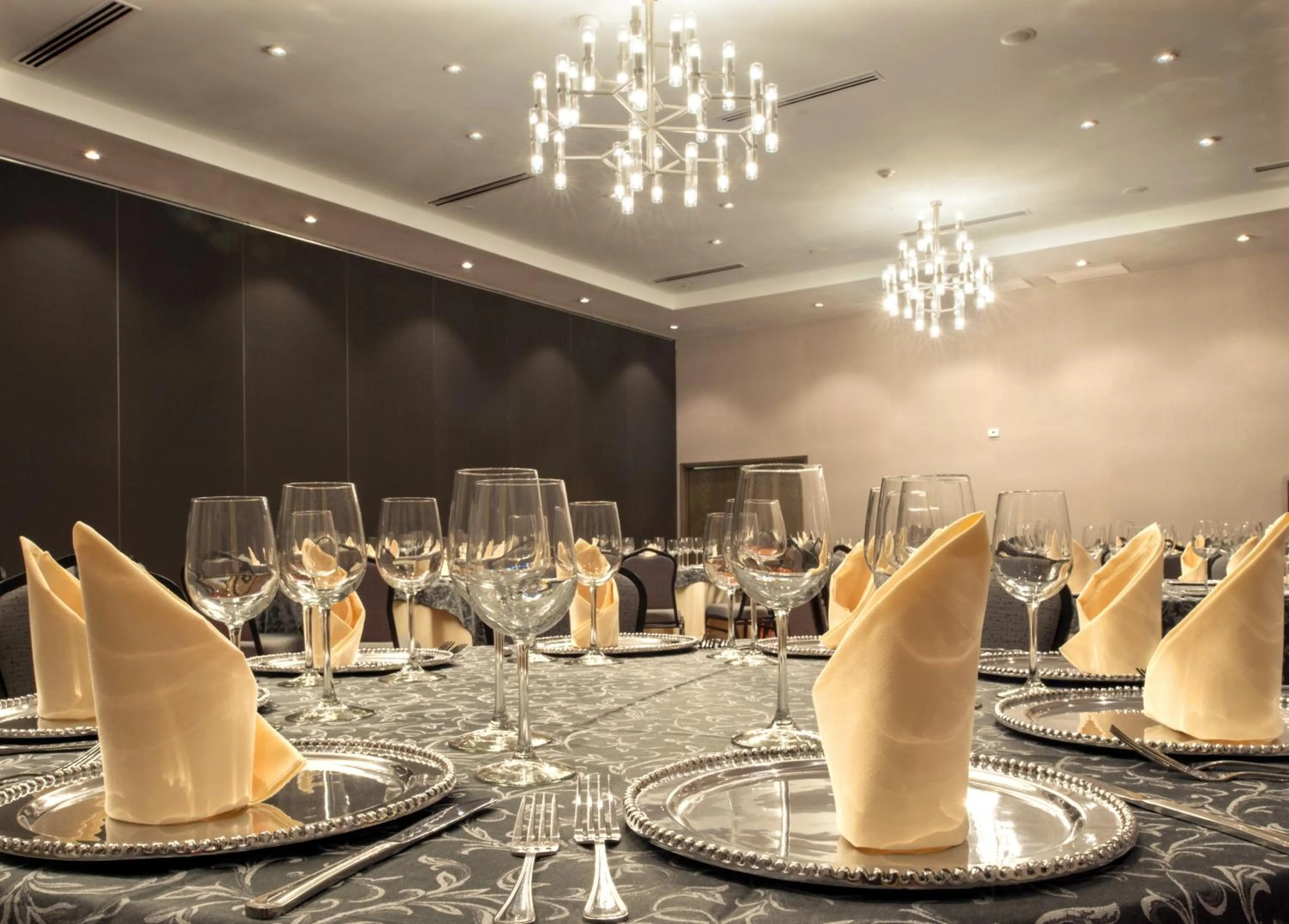 Banquet/Function facilities in Hotel Araiza San Luis R.C.