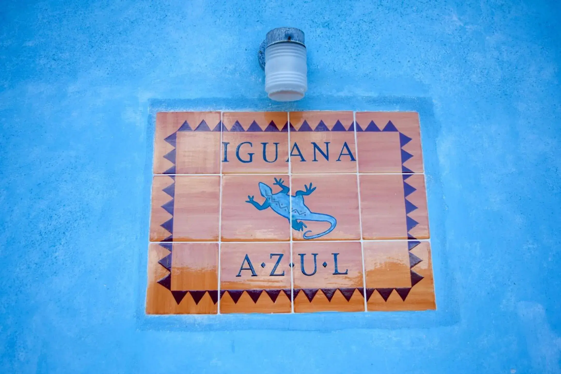 Hostel Iguana Azul Hostel Iguana Azul