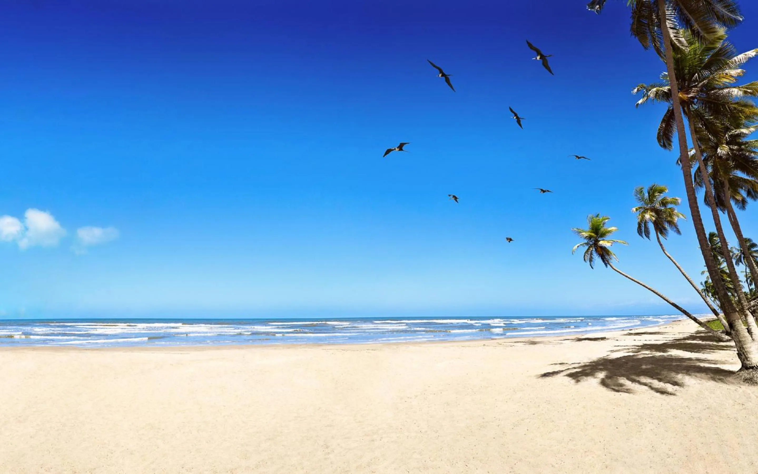 Beach in Sanibel Island Beach Resort