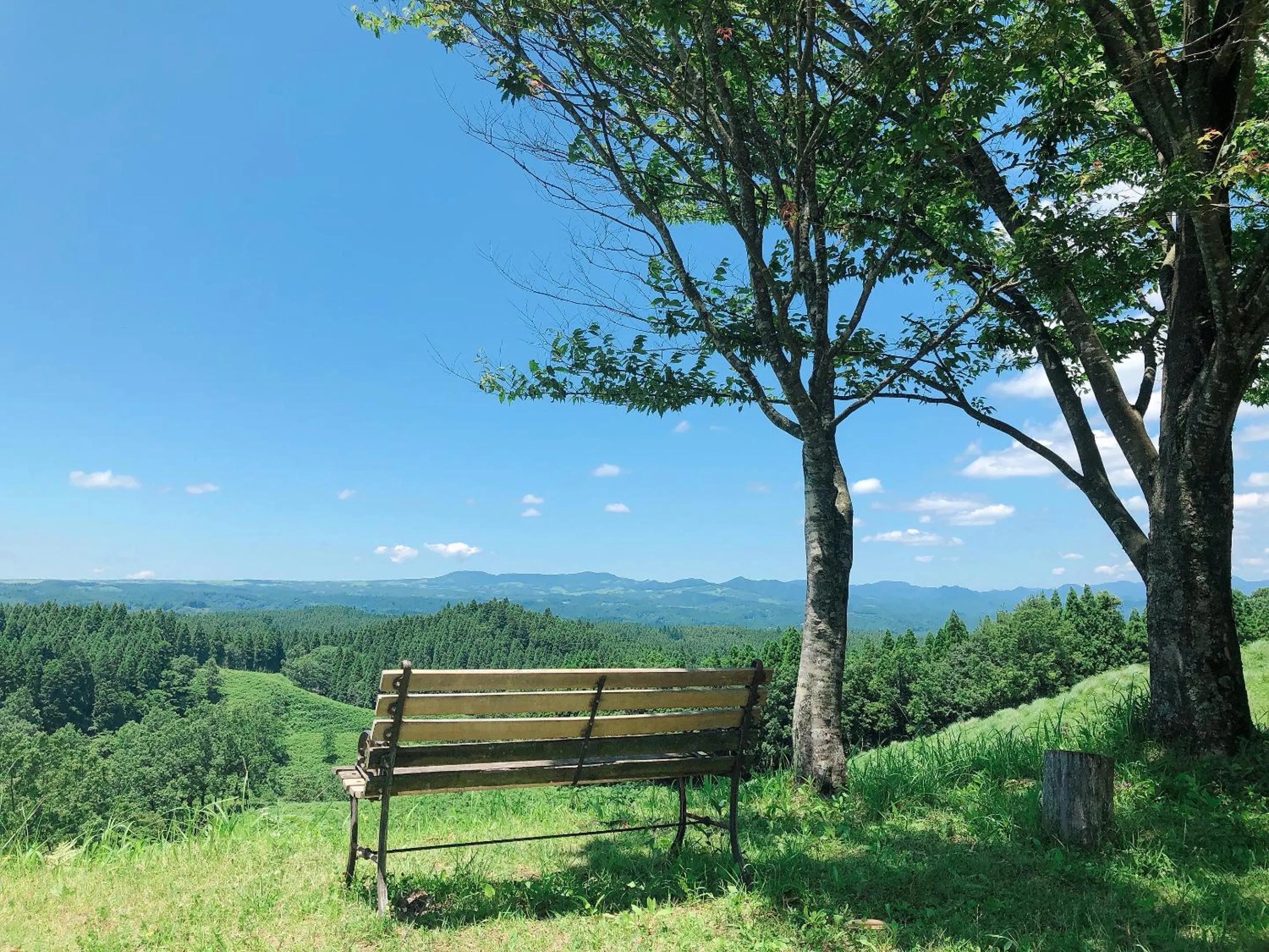 Kurasako Onsen Sakura