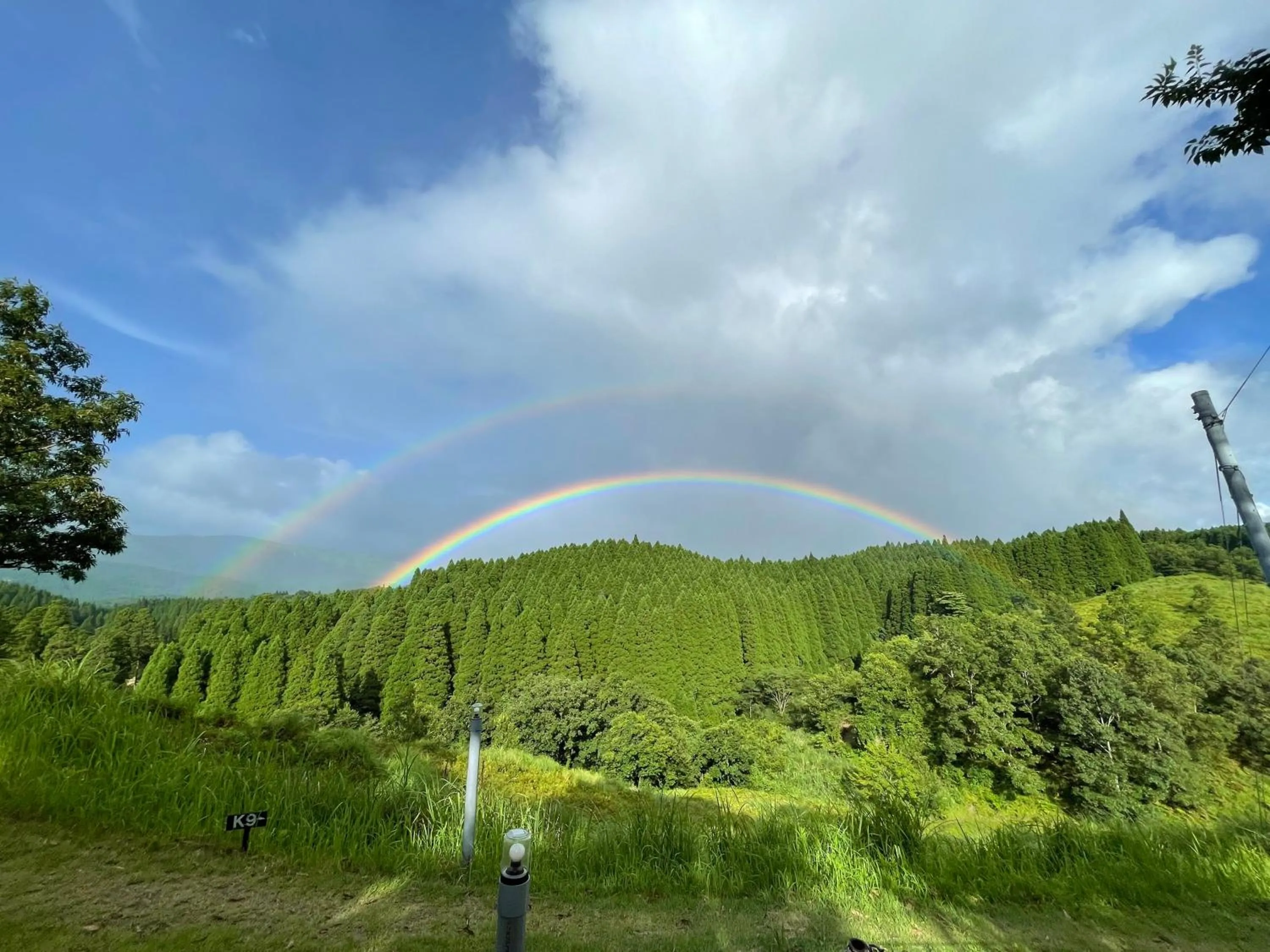 Kurasako Onsen Sakura
