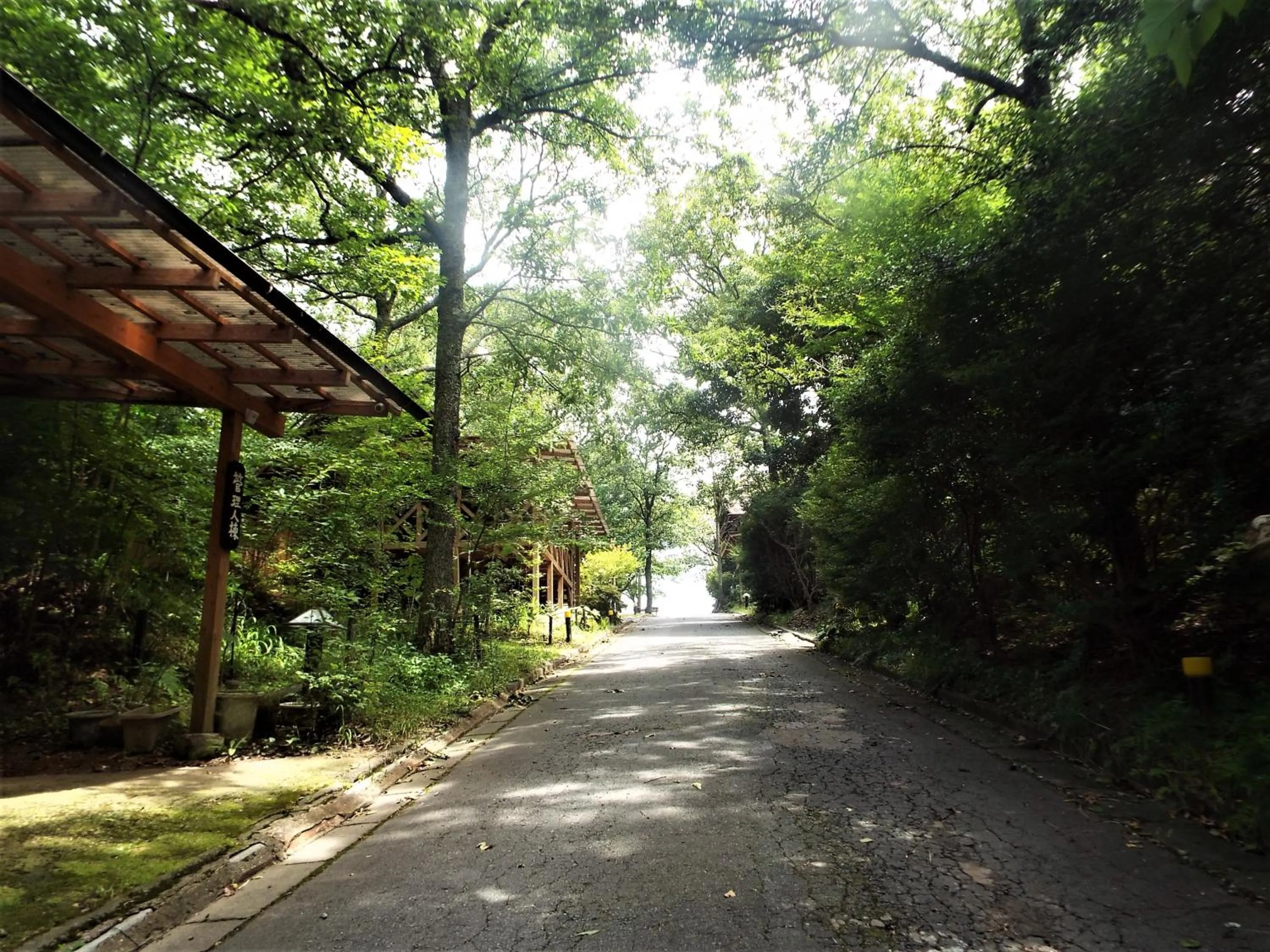 Natural landscape in Kurasako Onsen Sakura