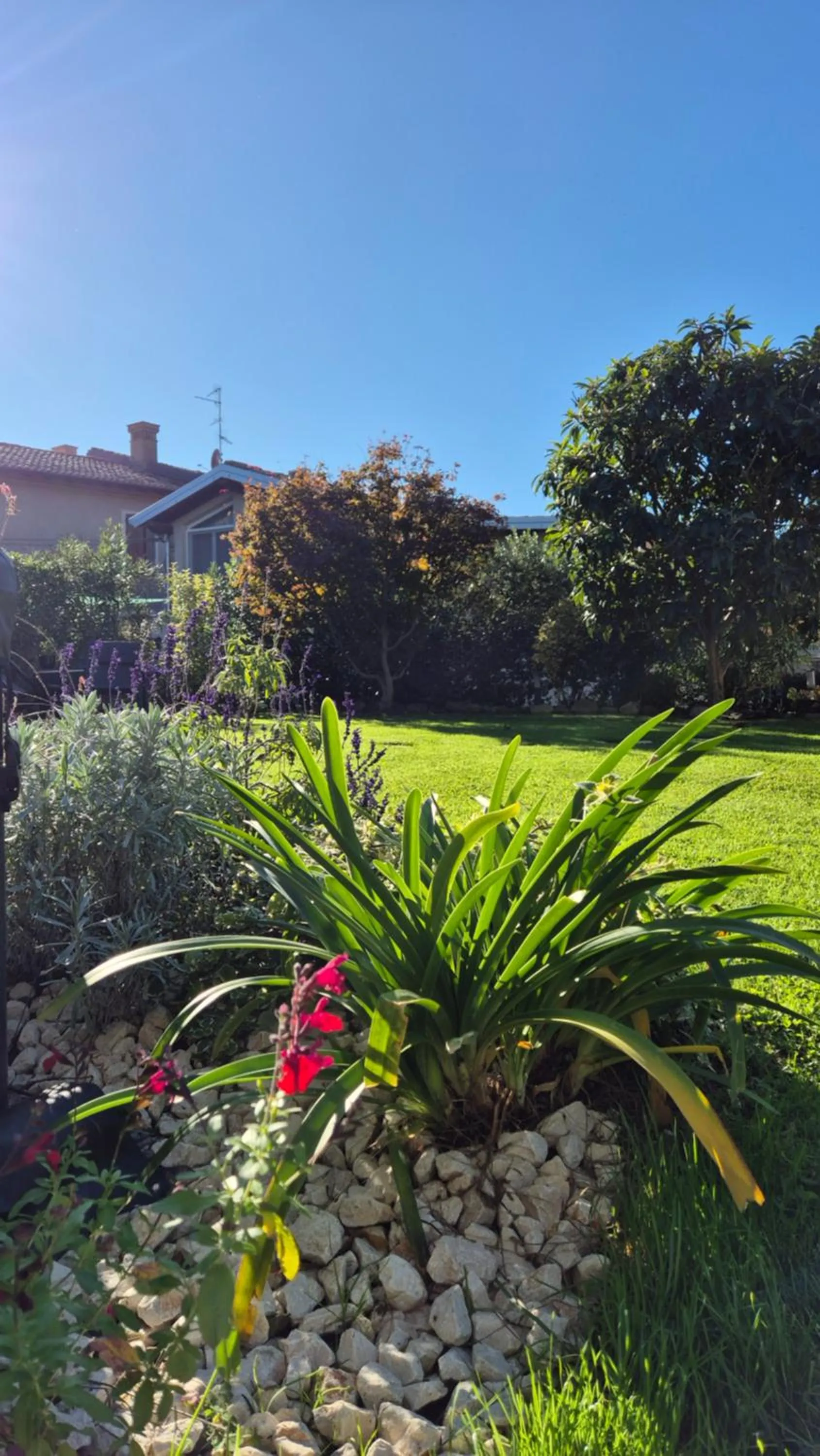 Garden in Cascina San Martino