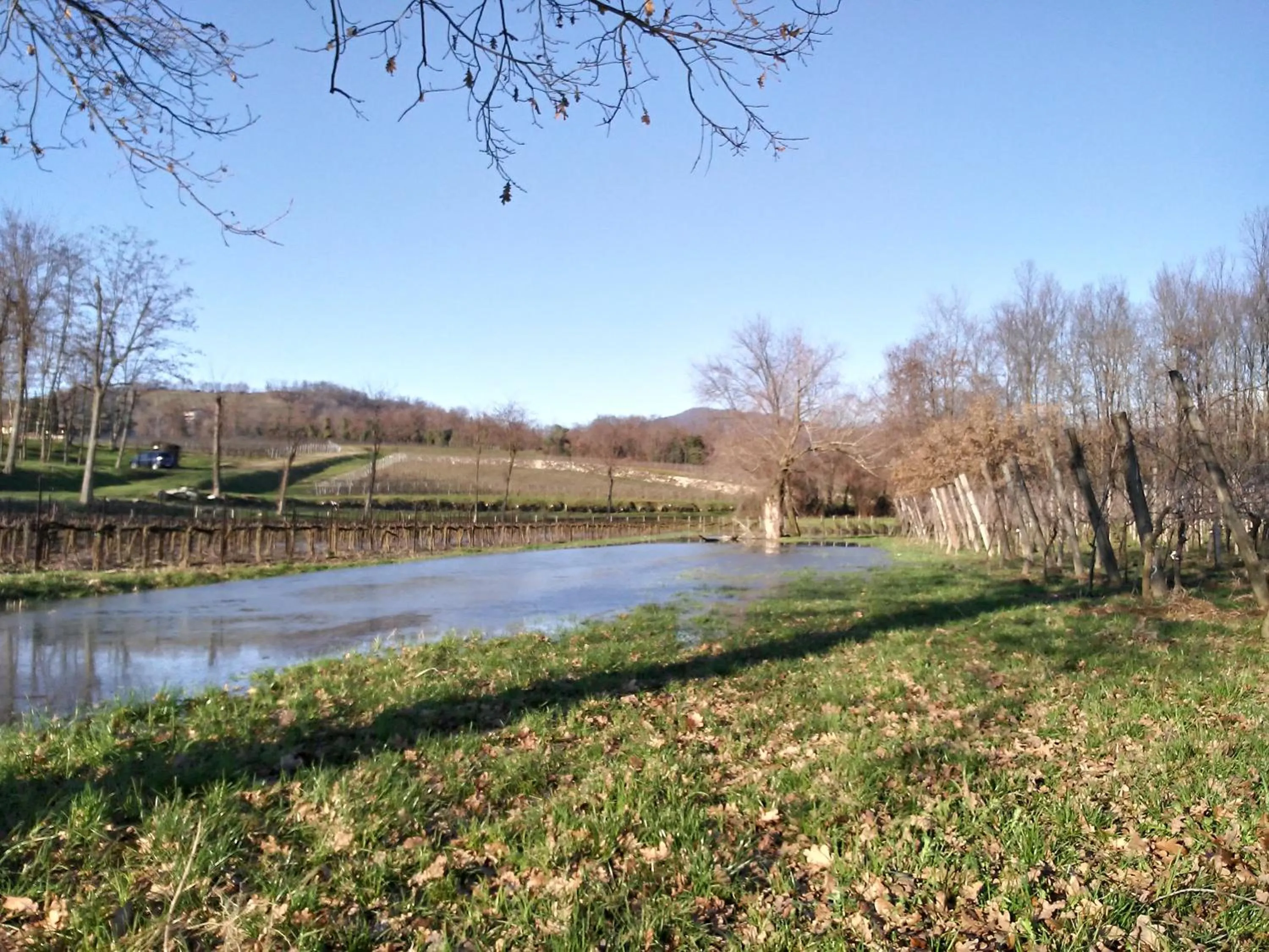 Natural landscape in Cascina San Martino