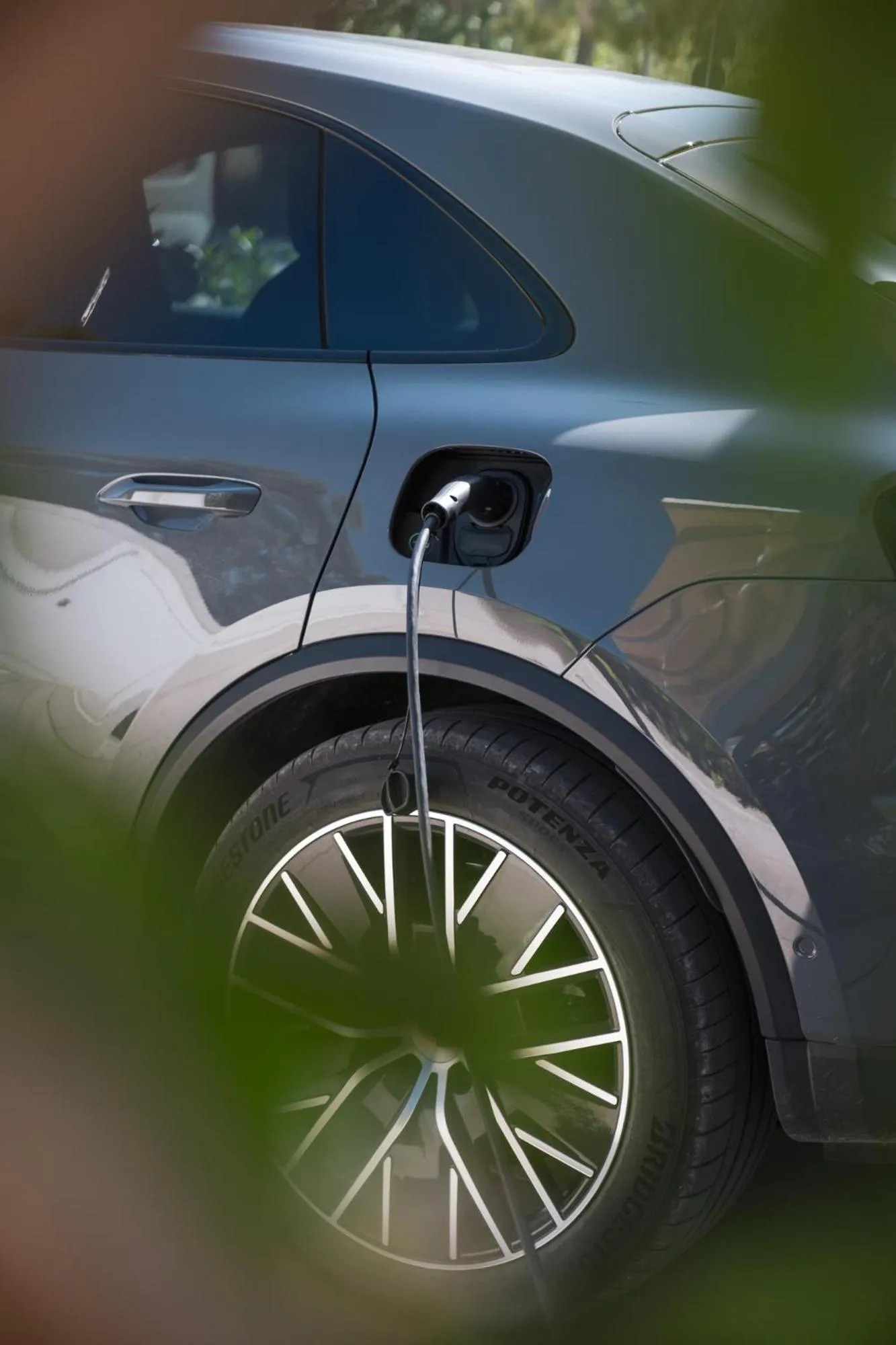 Area and facilities in Hotel Palmensis