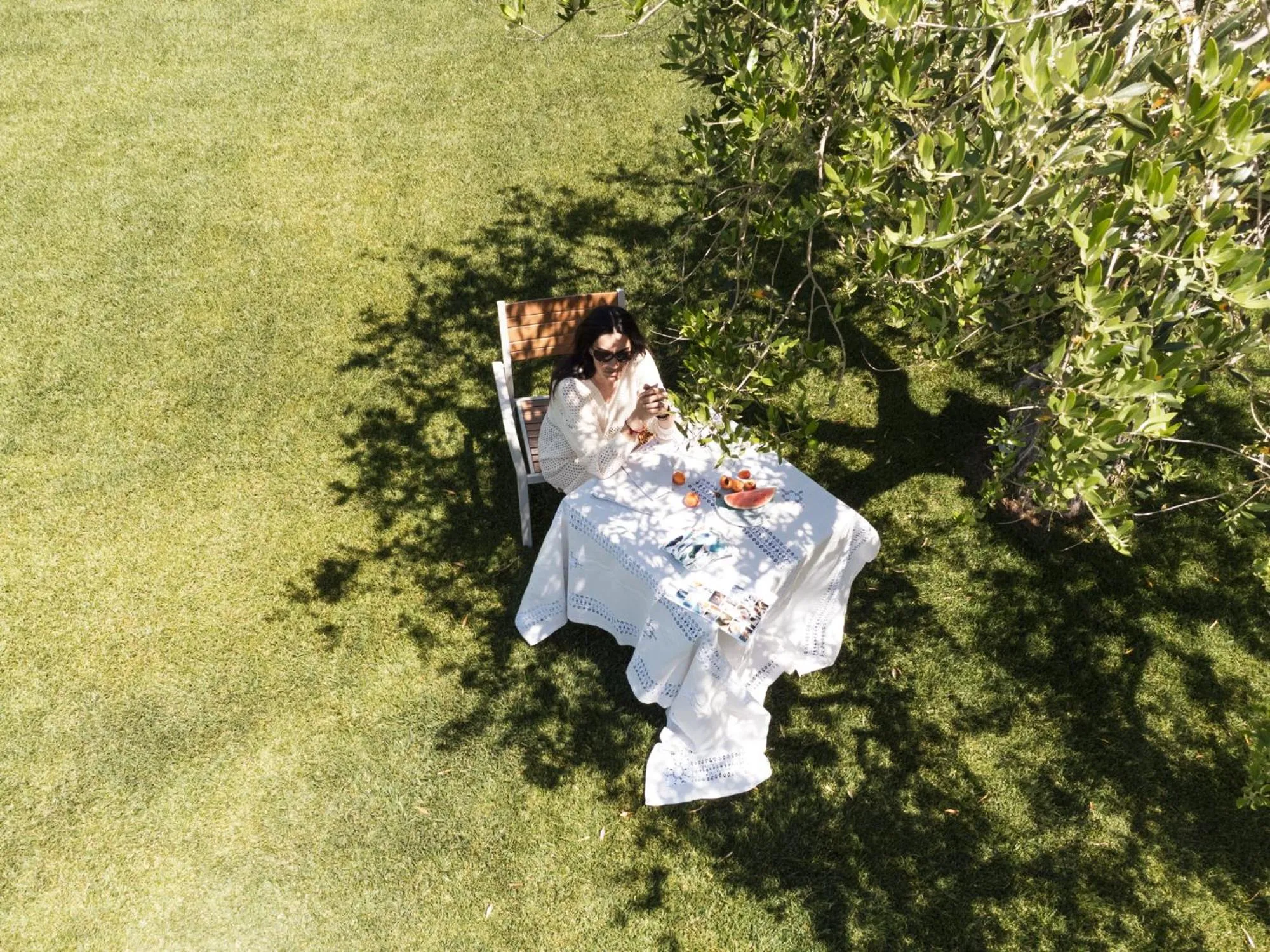 Garden in Hotel Palmensis